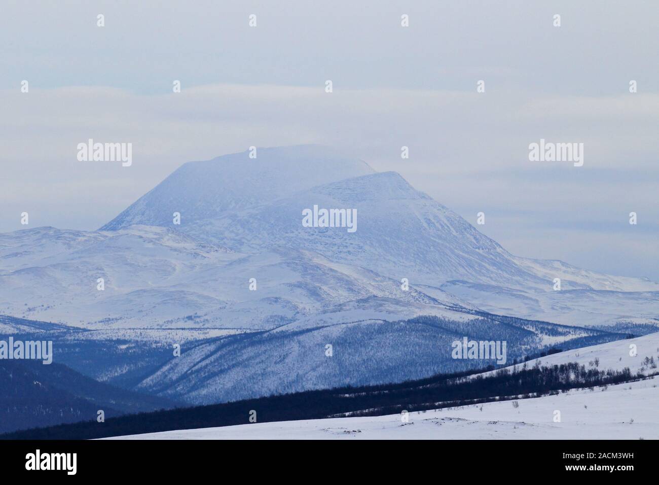 Paesaggio invernale Dovrefjell Norvegia Foto Stock