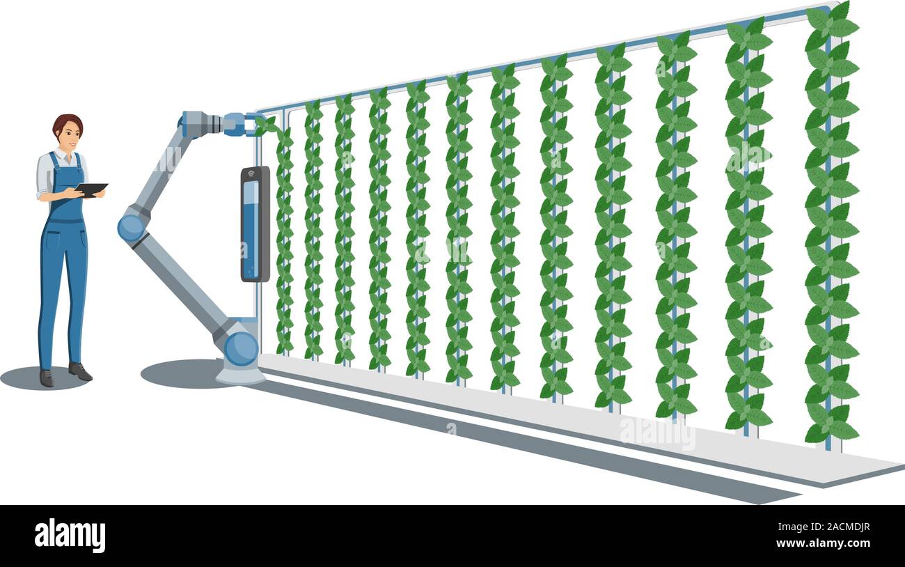 Contadina con tavoletta digitale controlla il braccio robotico in serra con i giardini verticali. Smart farm con controllo senza fili. Illustrazione Vettoriale. Illustrazione Vettoriale