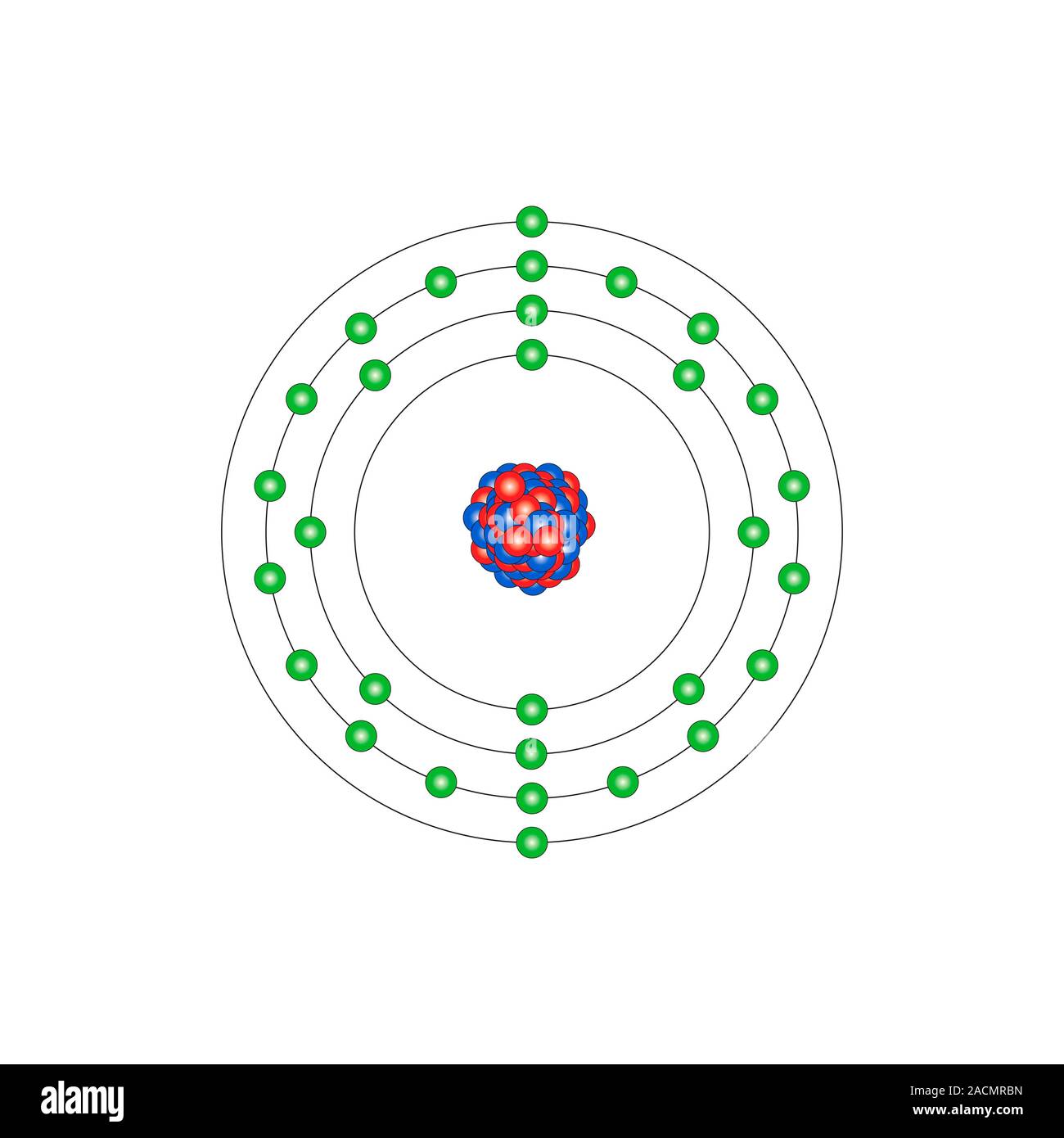 Zinco (Zn). Schema della composizione nucleare e configurazione di  elettroni di un atomo di zinco-64 (numero atomico 30), il più comune  isotopo di questo el Foto stock - Alamy
