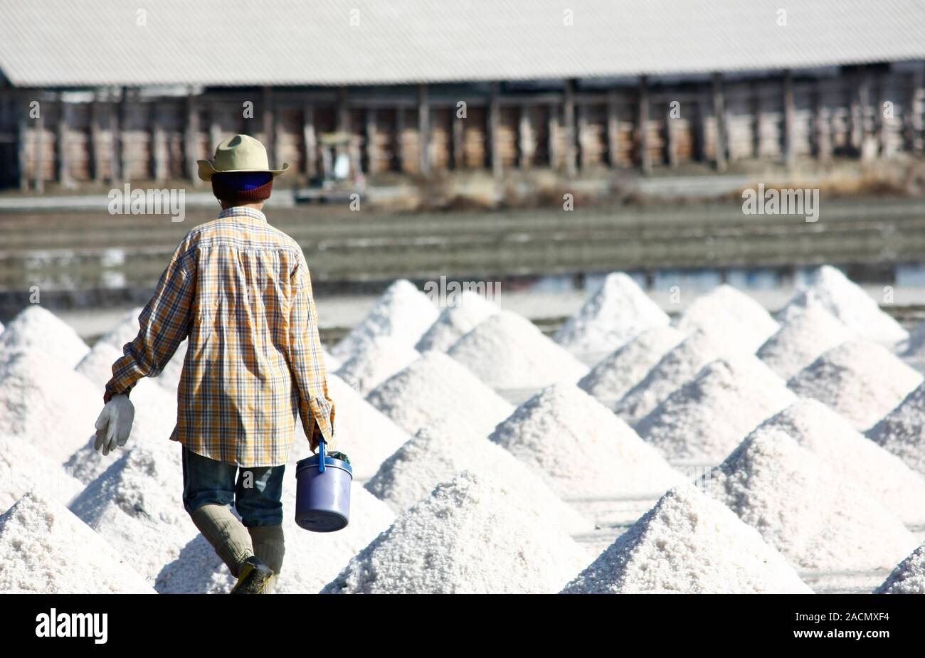 Uomo a rastrellare il campo di sale Foto Stock