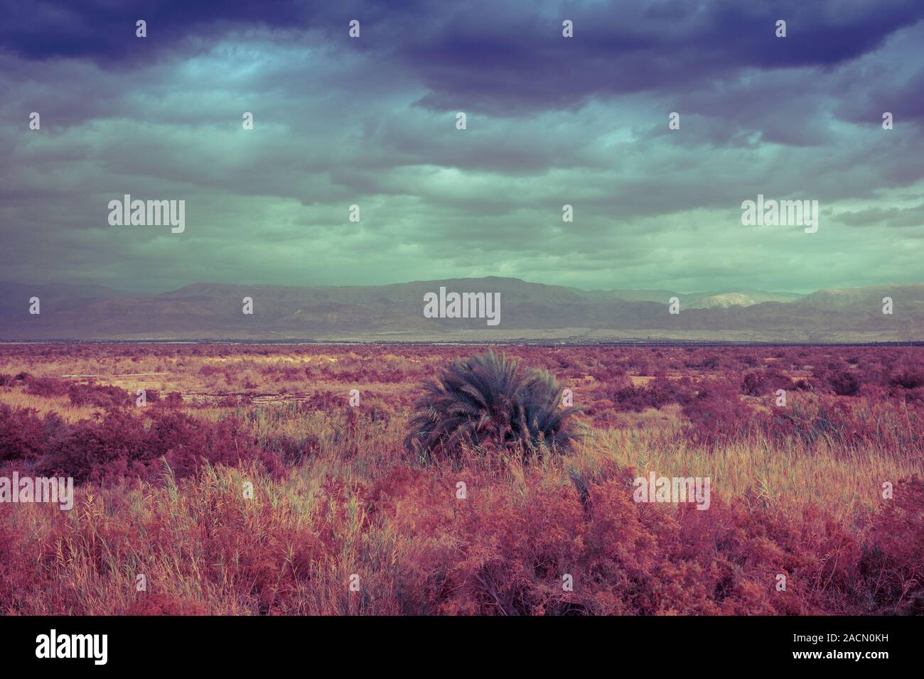 La natura del paesaggio. Deserto con cielo drammatico. Arava desert. Vista della valle con montagne sullo sfondo. La natura di Israele Foto Stock