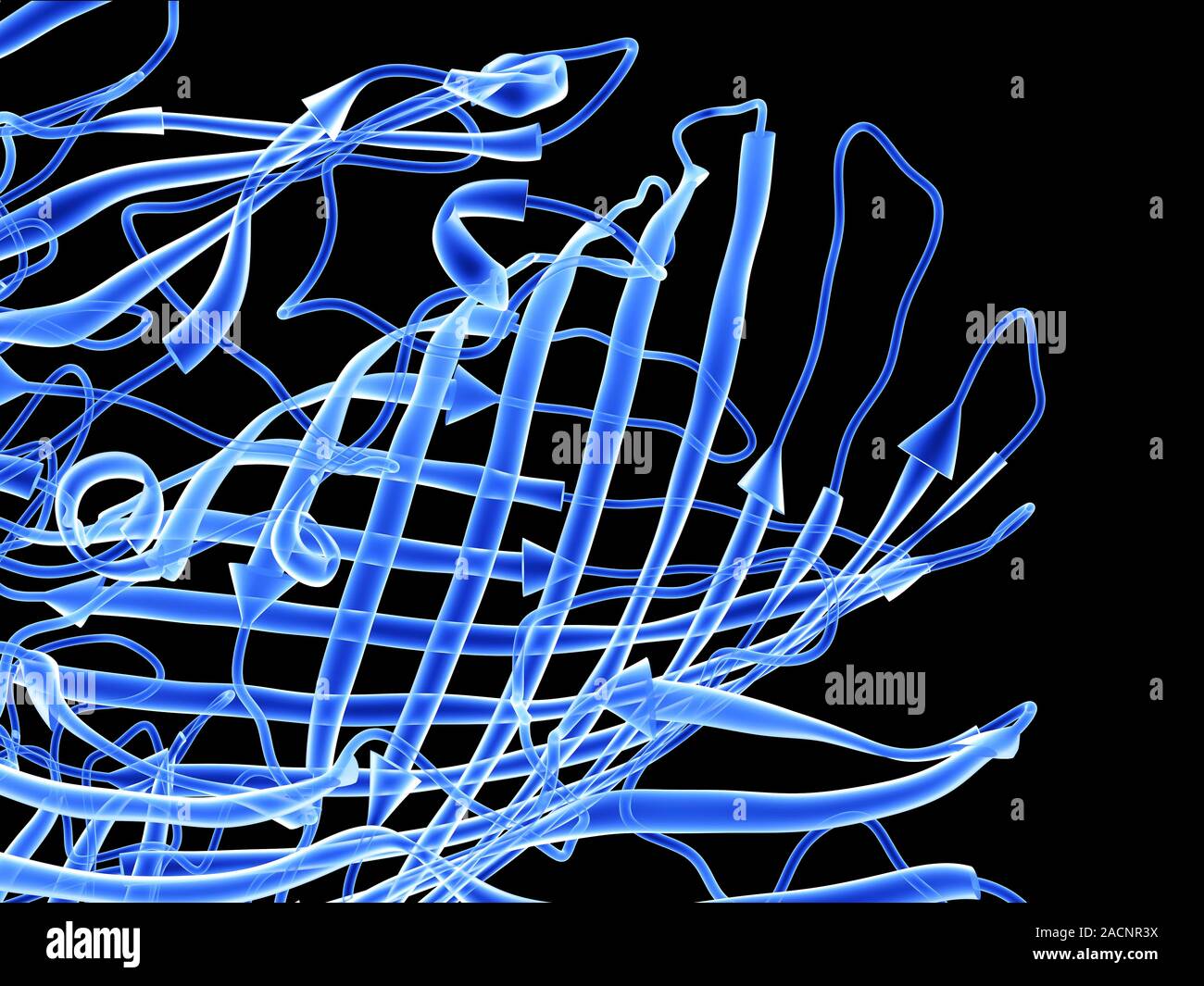 Proteina di membrana esterna batterica molecola. Modello di computer che mostra una parte della struttura secondaria di una molecola di proteina della membrana esterna di un dal CES Foto Stock