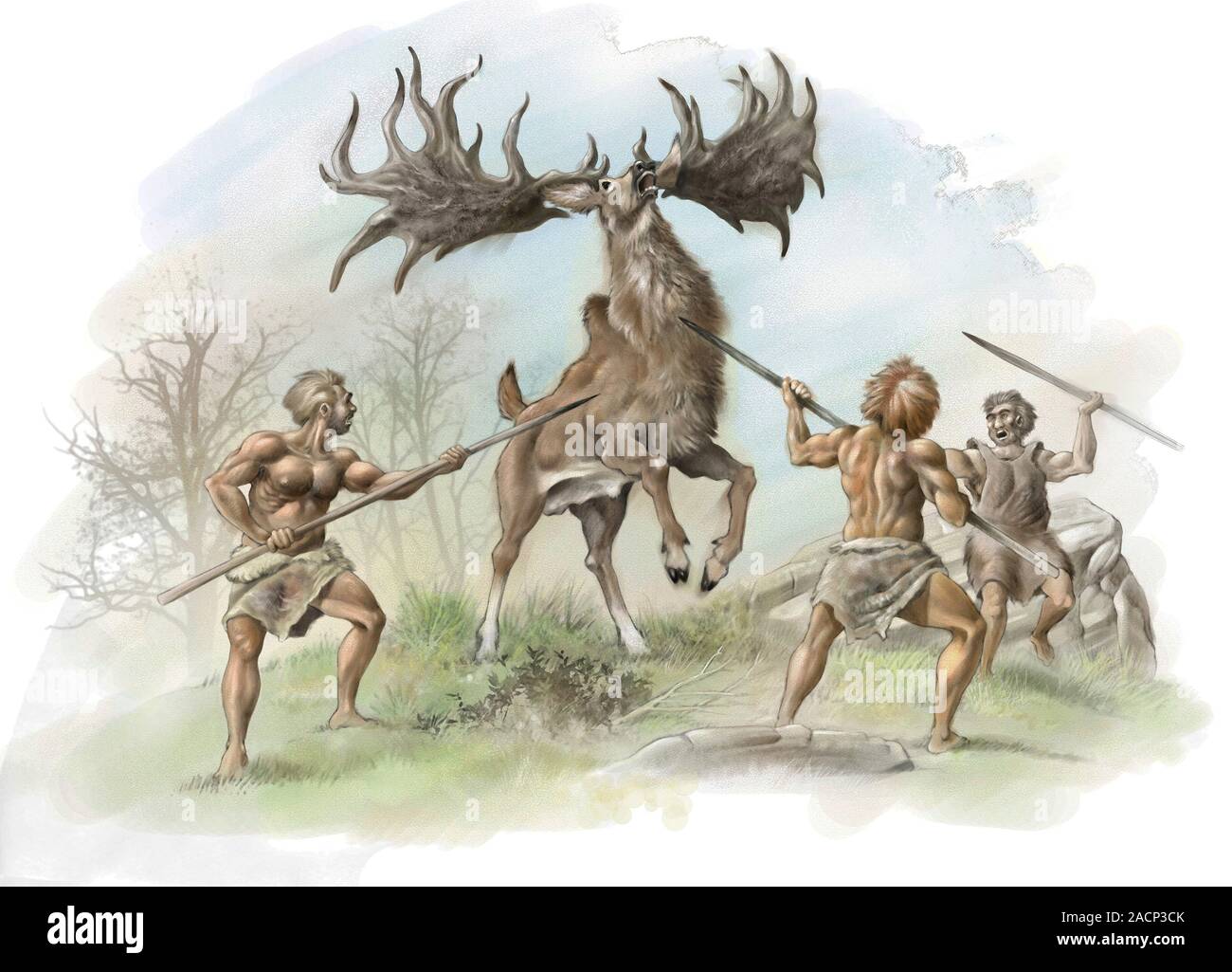 L'uomo di Neanderthal caccia Irish elk, opere d'arte. Un gruppo di cacciatori di Neanderthal attaccando un maschio Irish elk (Megaloceros giganteus). L'alce irlandese è stato uno dei Foto Stock
