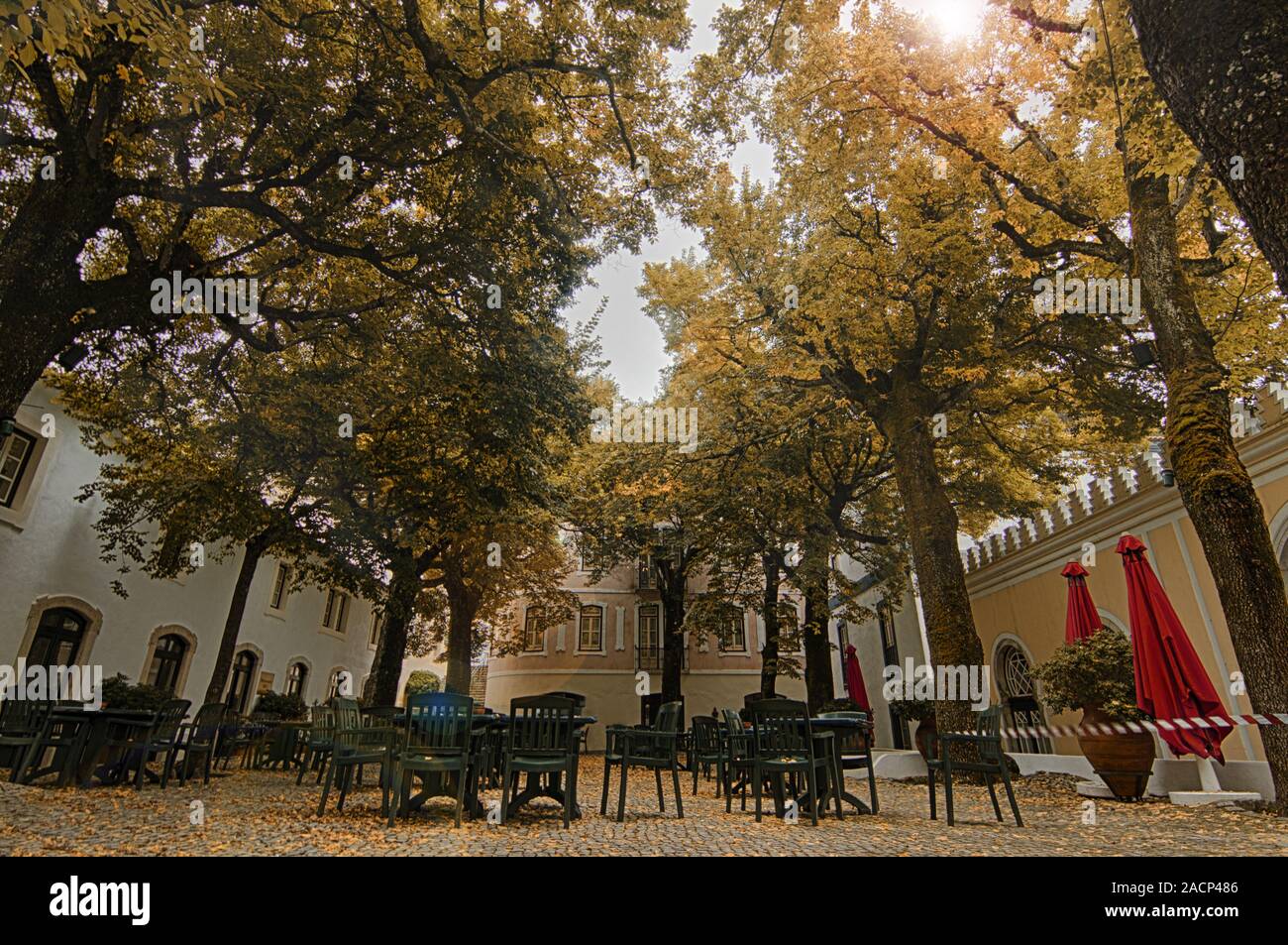 Bellissimo Parco all'aperto Foto Stock