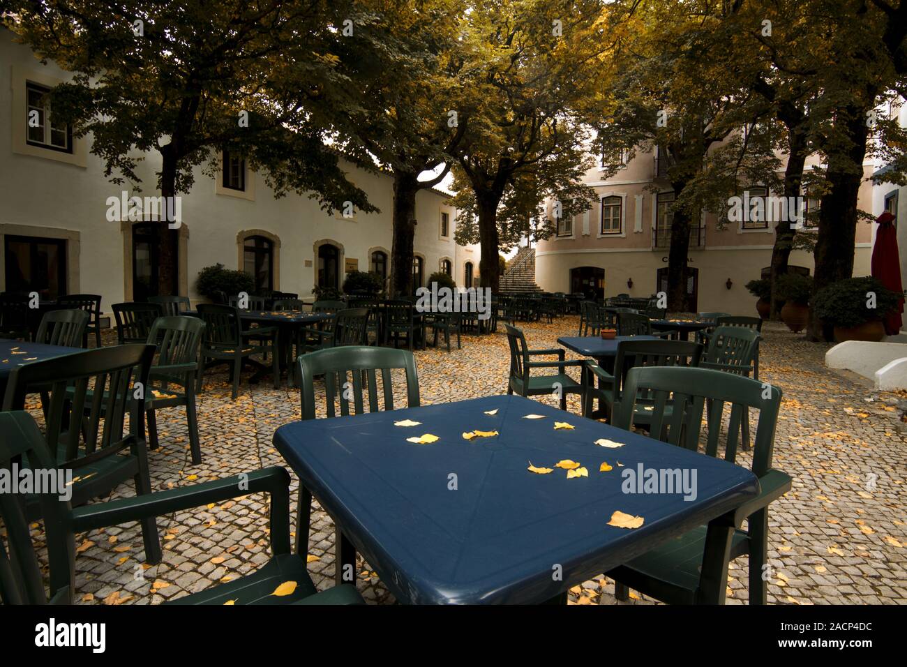 Bellissimo Parco all'aperto Foto Stock
