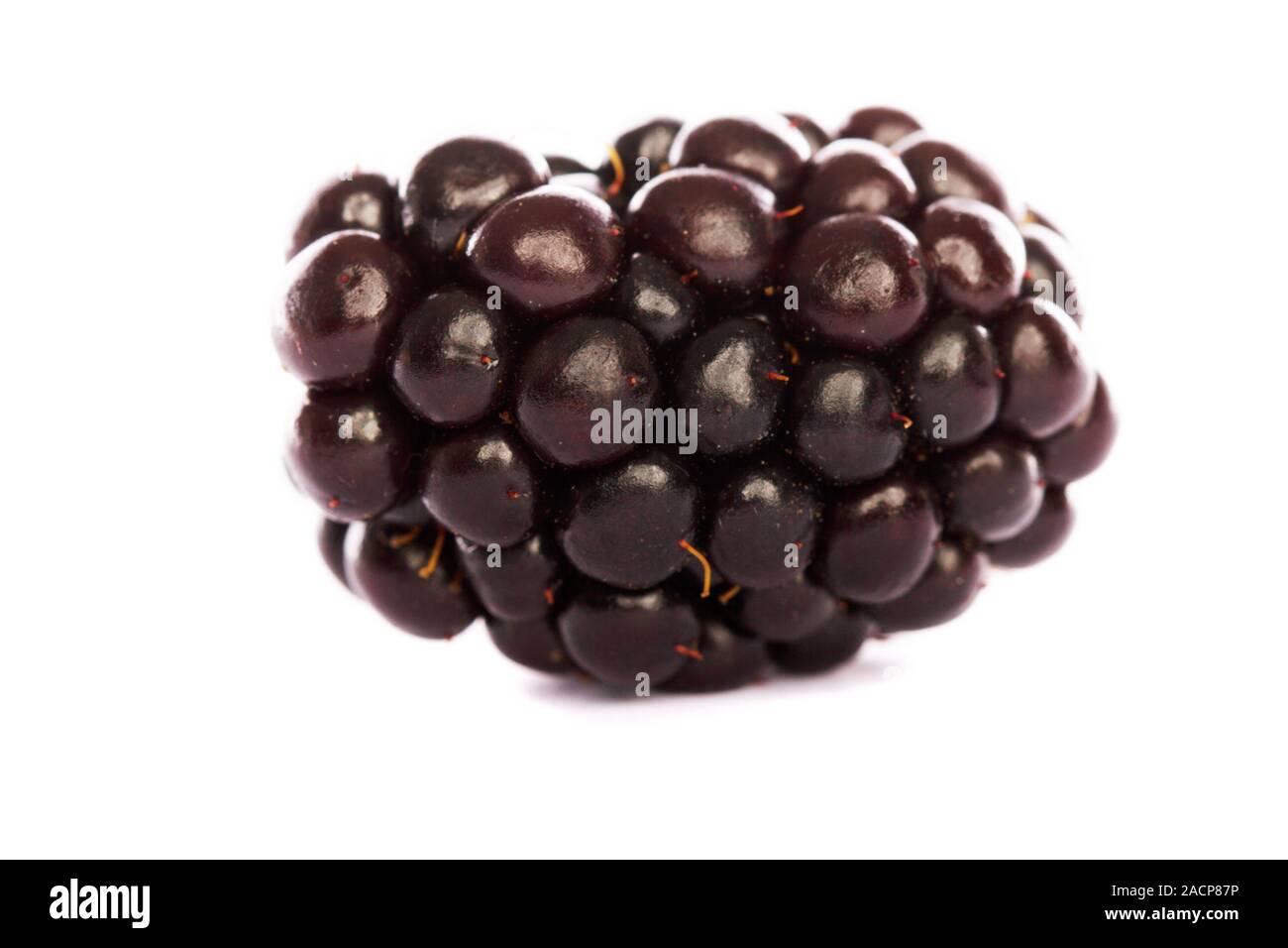 Blackberry su bianco Foto Stock