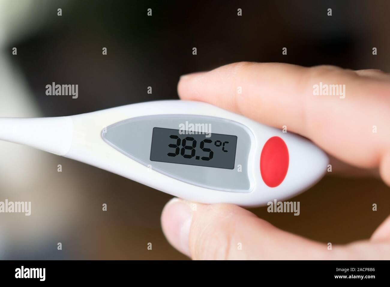 Immagine di una febbre termometro che indica il 38,5 gradi Celsius Foto  stock - Alamy