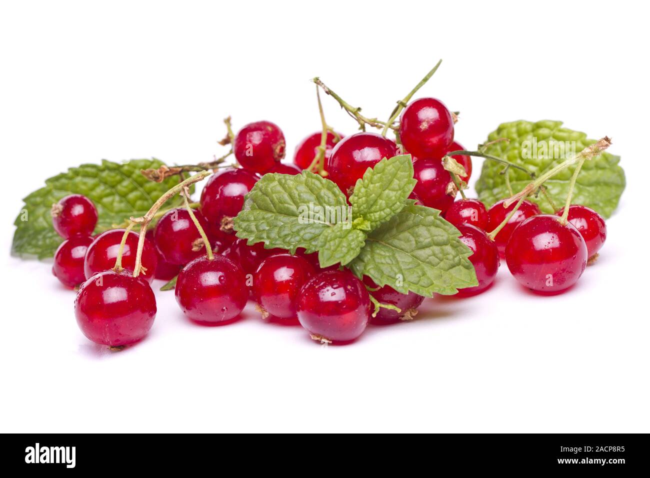 Gustosa rosse bacche Ribes Foto Stock