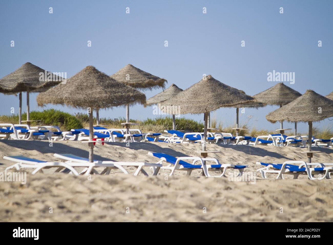 Sedie da spiaggia con ombrelloni di paglia Foto Stock