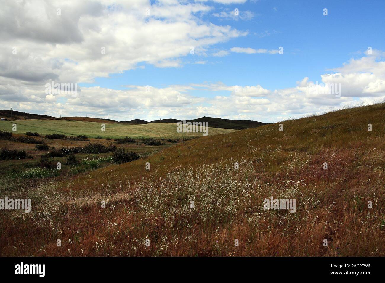 Algarve paesaggio interiore Foto Stock