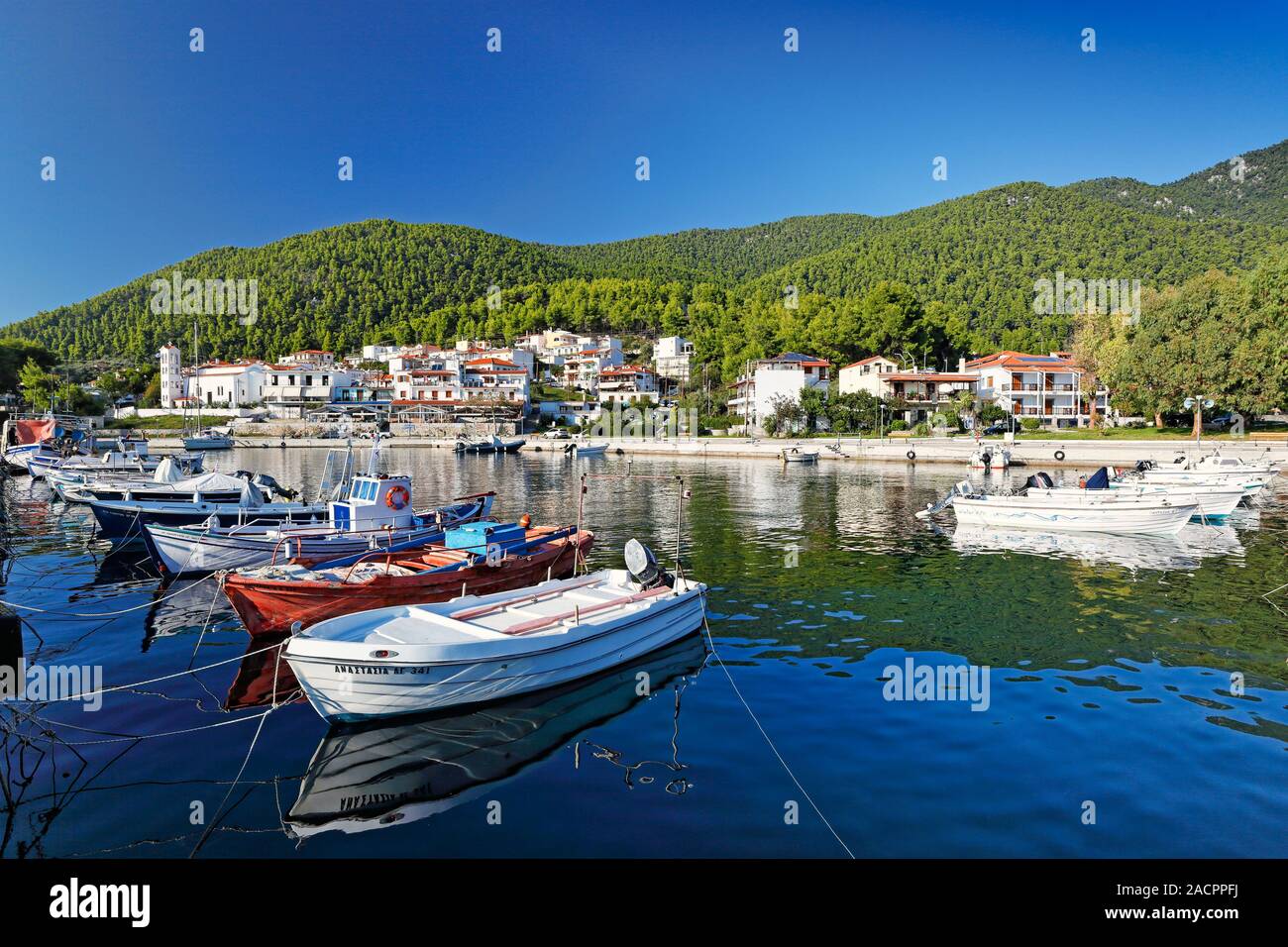 Il porto di Hovolo di Skopelos Island, Grecia Foto Stock