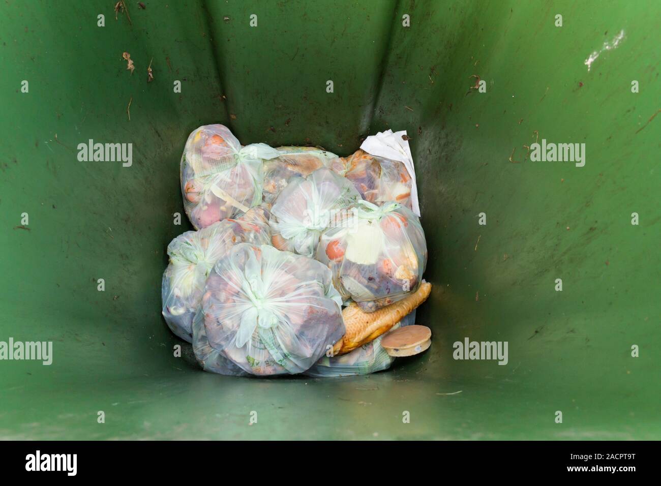 Riciclabili, compostabile rifiuti alimentari in compostabile sacchi collocati nella parte inferiore di un verde bidone con ruote per raccolta rifiuti. Foto Stock