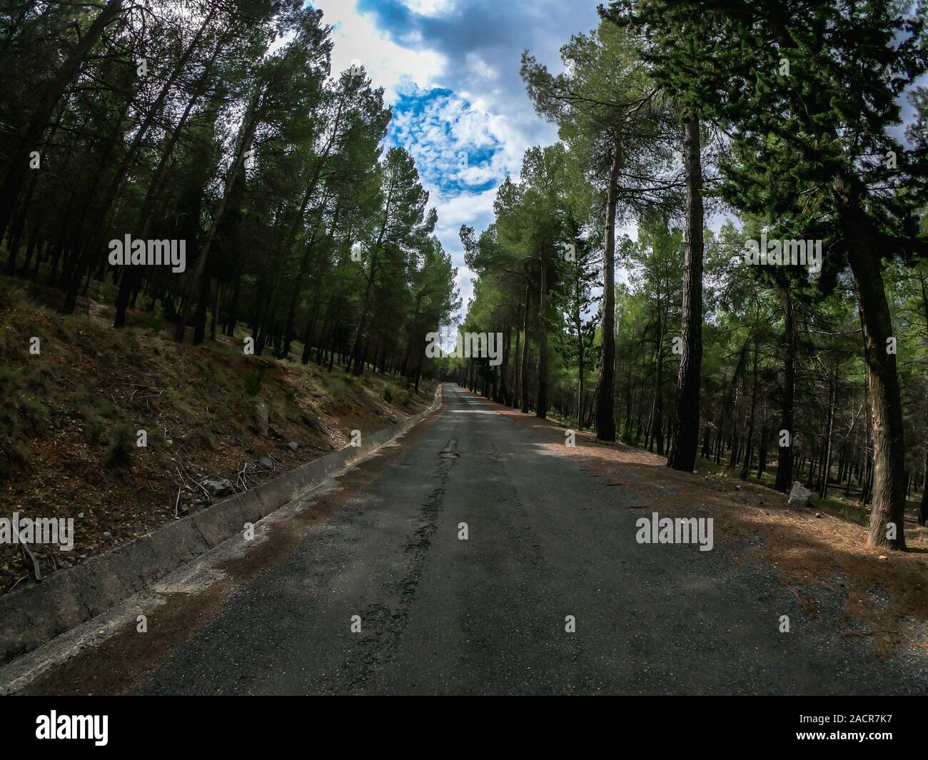 POV guida su una strada di montagna molto lentamente tra la vegetazione locale. Una unità di auto attraverso la montagna su Nerpio's road, Spagna su un giorno nuvoloso. Foto Stock