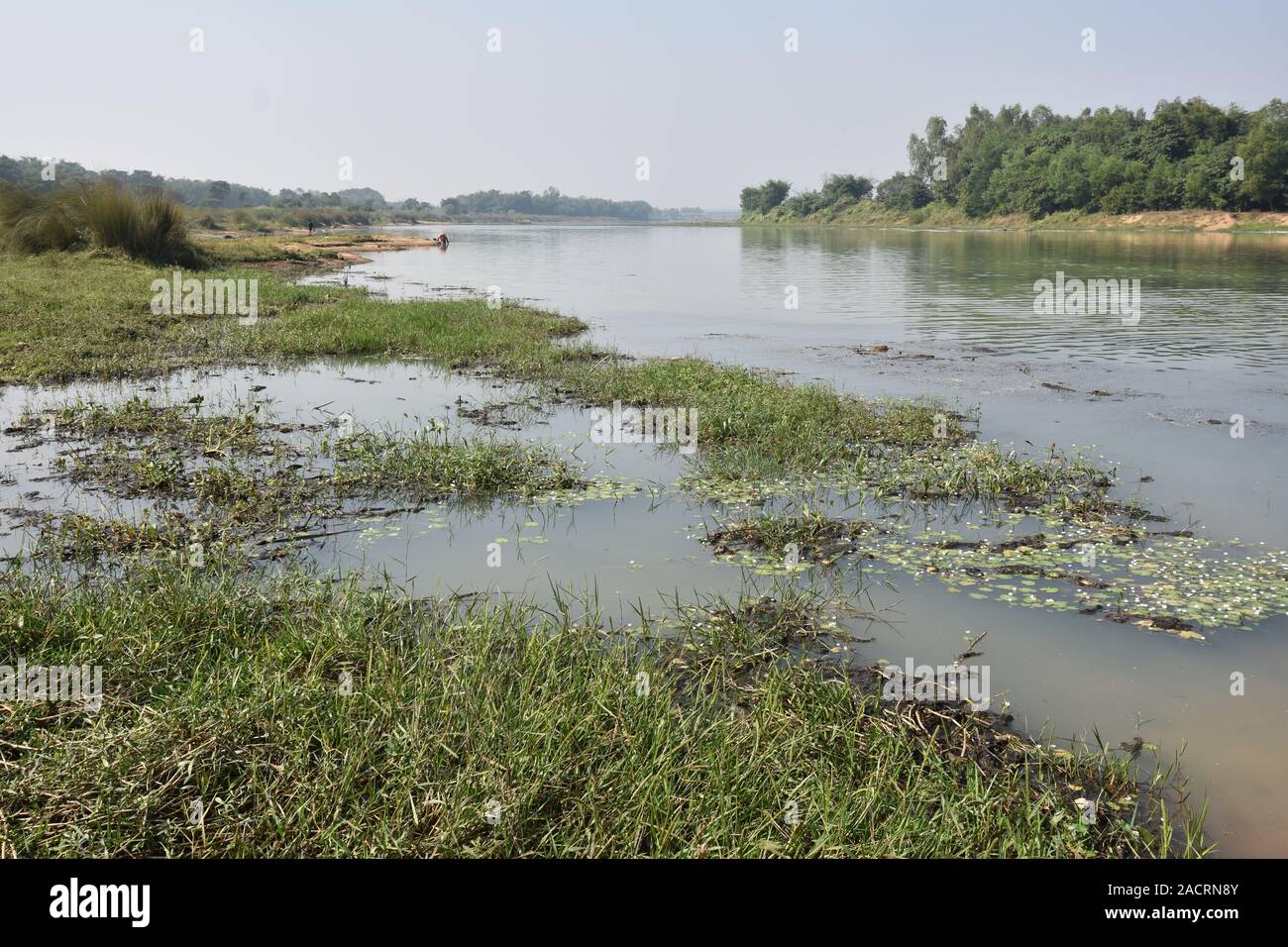 Fiume Shilabati o Silai al Gangani anfratti in Garbeta, West Bengal, India. Foto Stock