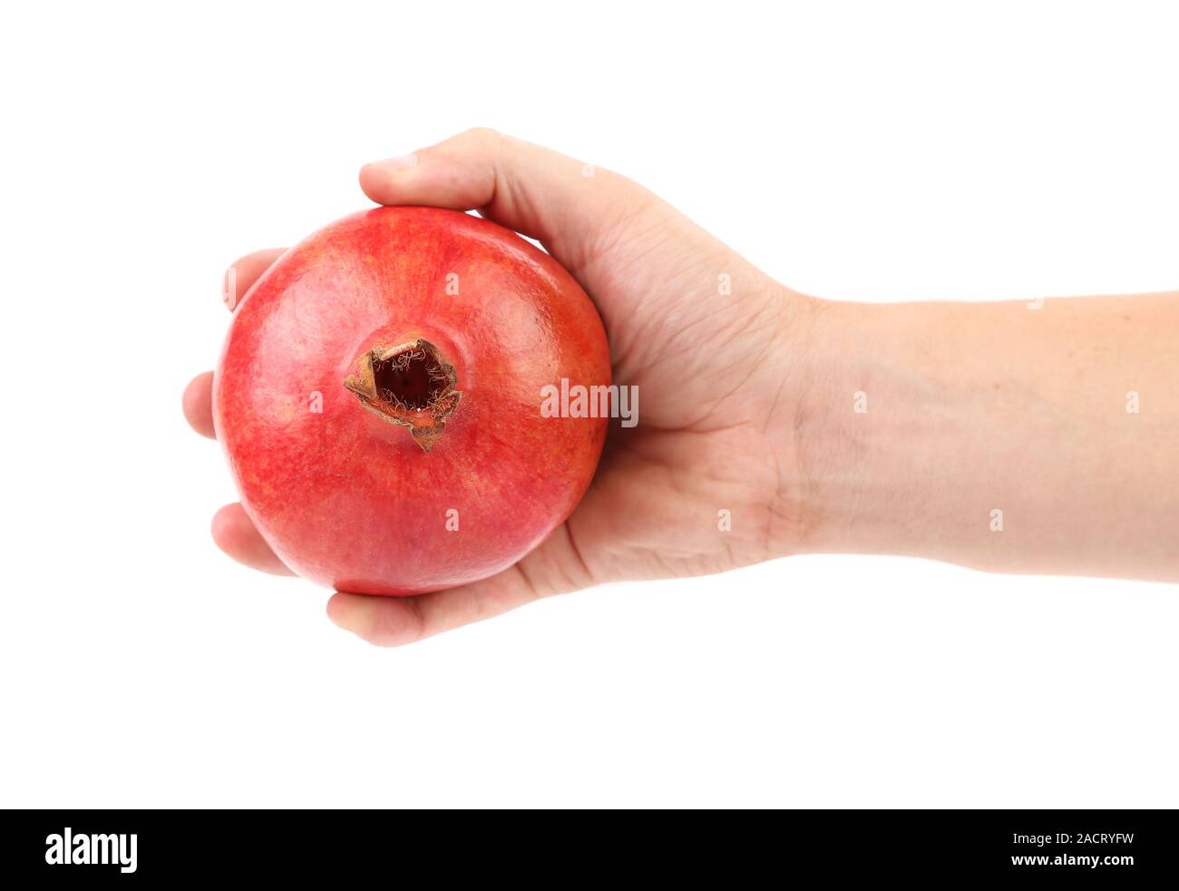 Mano che tiene il melograno. Foto Stock