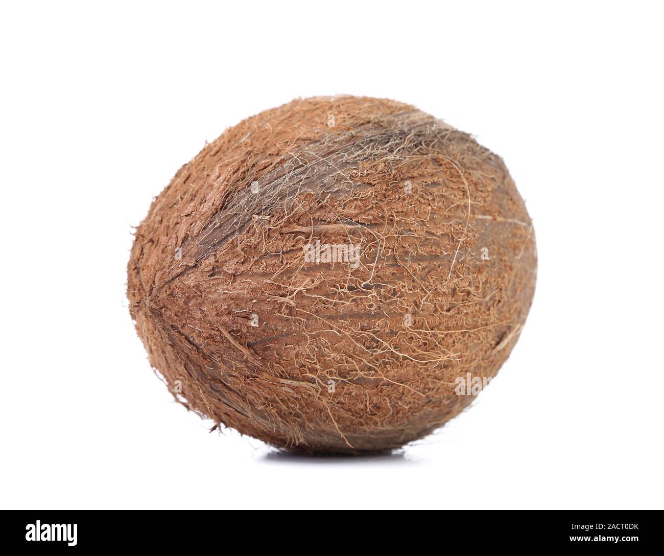 Il Cocco isolati su sfondo bianco. Foto Stock