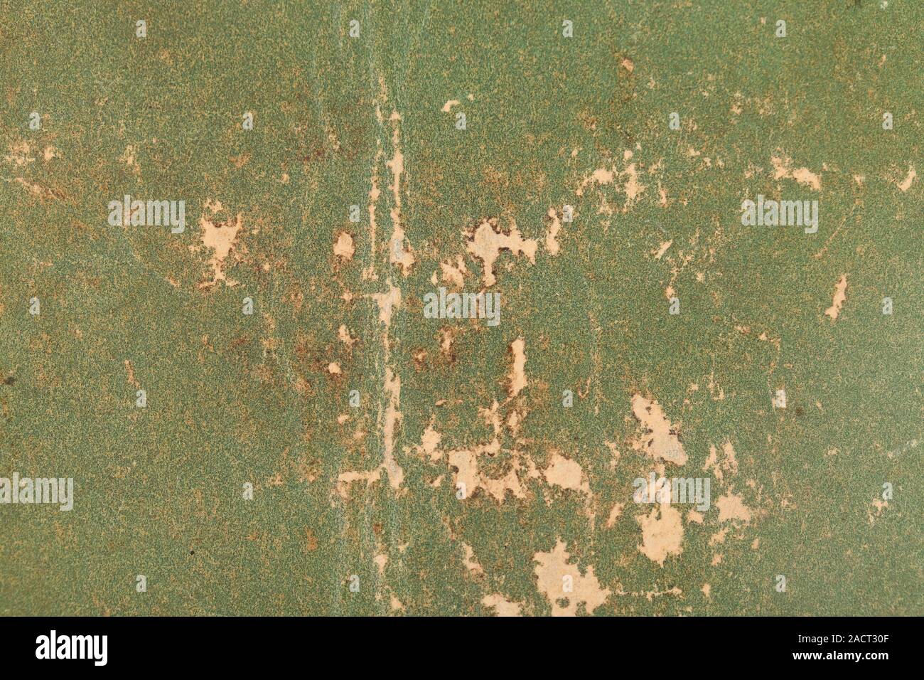 Vecchio libro coperchio, texture vintage Foto Stock