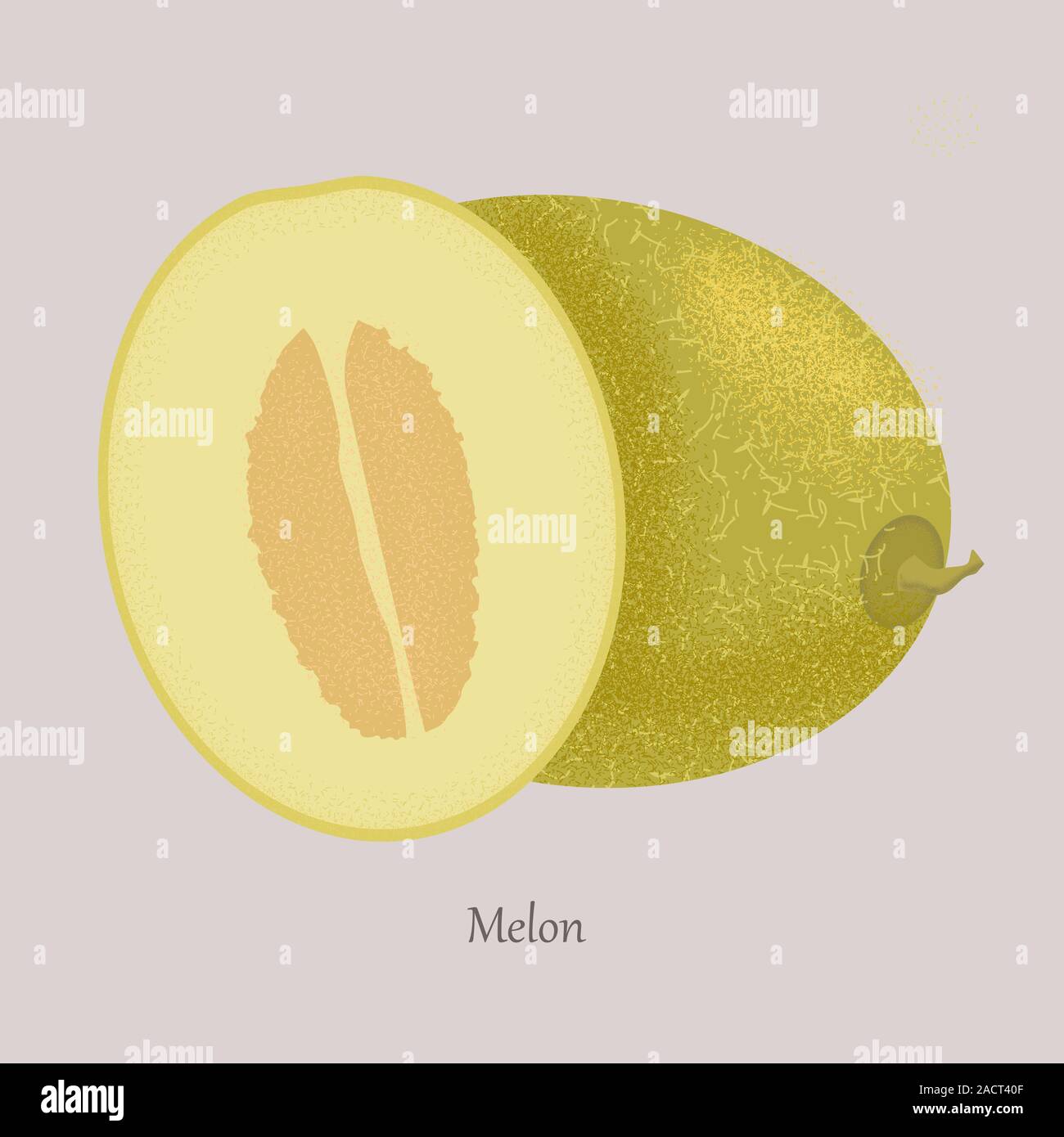 Il melone di frutta. Tutto mature frutta dolce con fette di succosa pezzo di taglio. Illustrazione Vettoriale