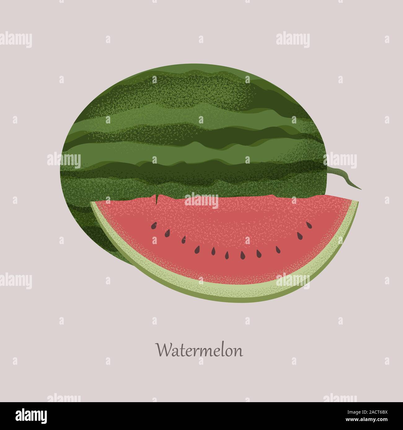 Estate anguria fetta. Intero e tagliato a metà anguria. Illustrazione Vettoriale