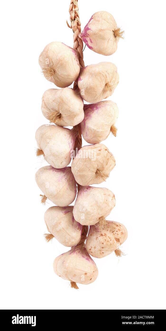 Treccia di garlics. Foto Stock
