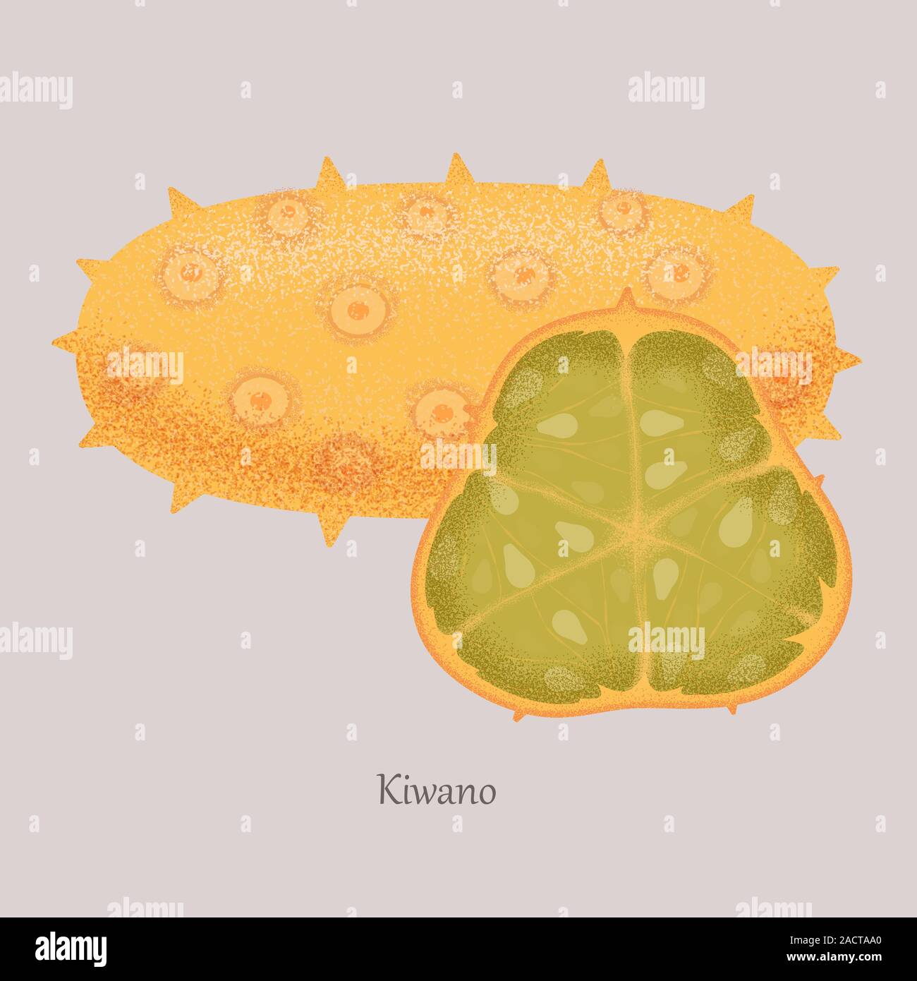 Cornuto melone, kiwano frutta tropicale ed esotica intero e metà. Illustrazione Vettoriale