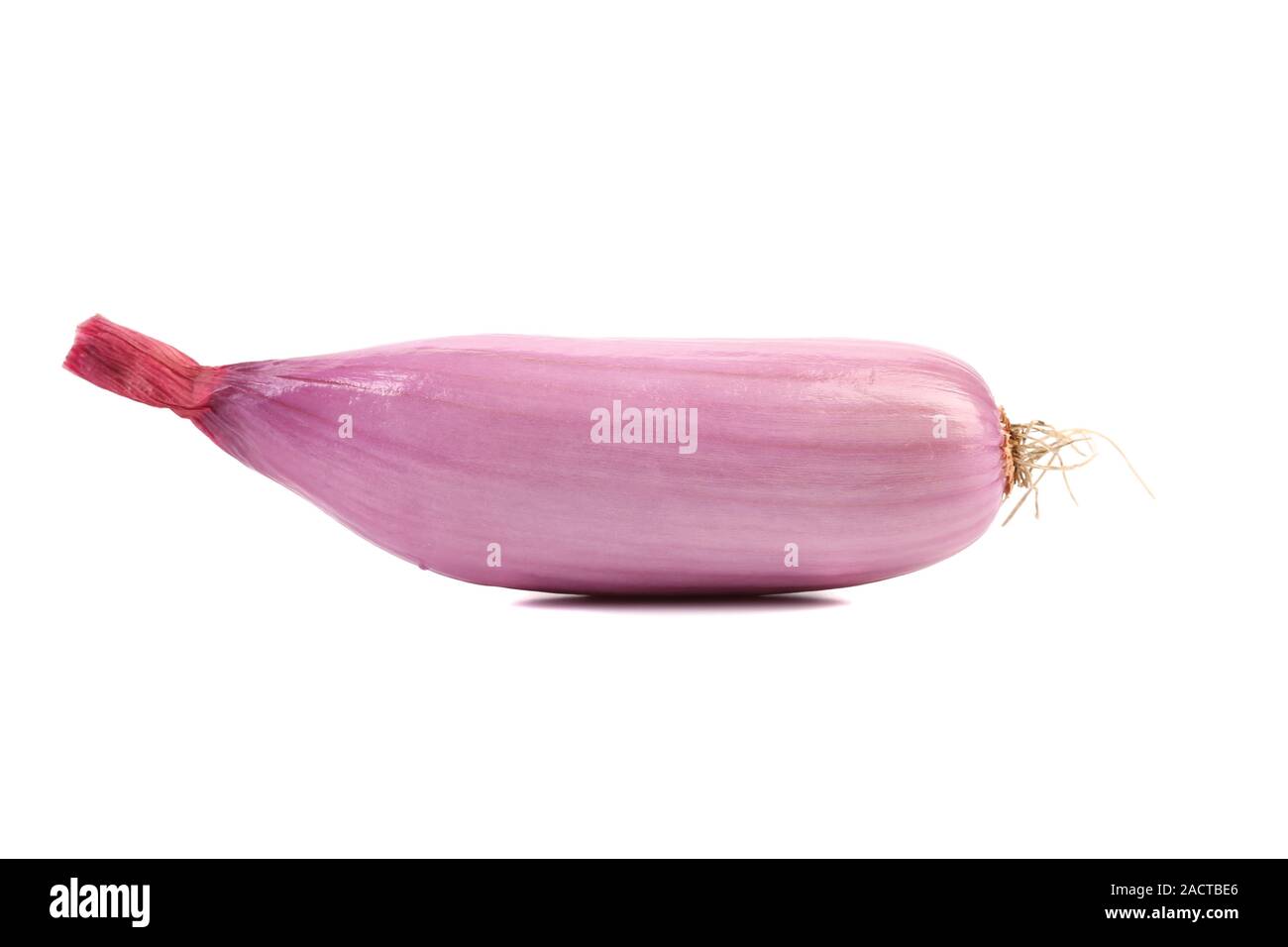 Organici di cipolle rosse Foto Stock