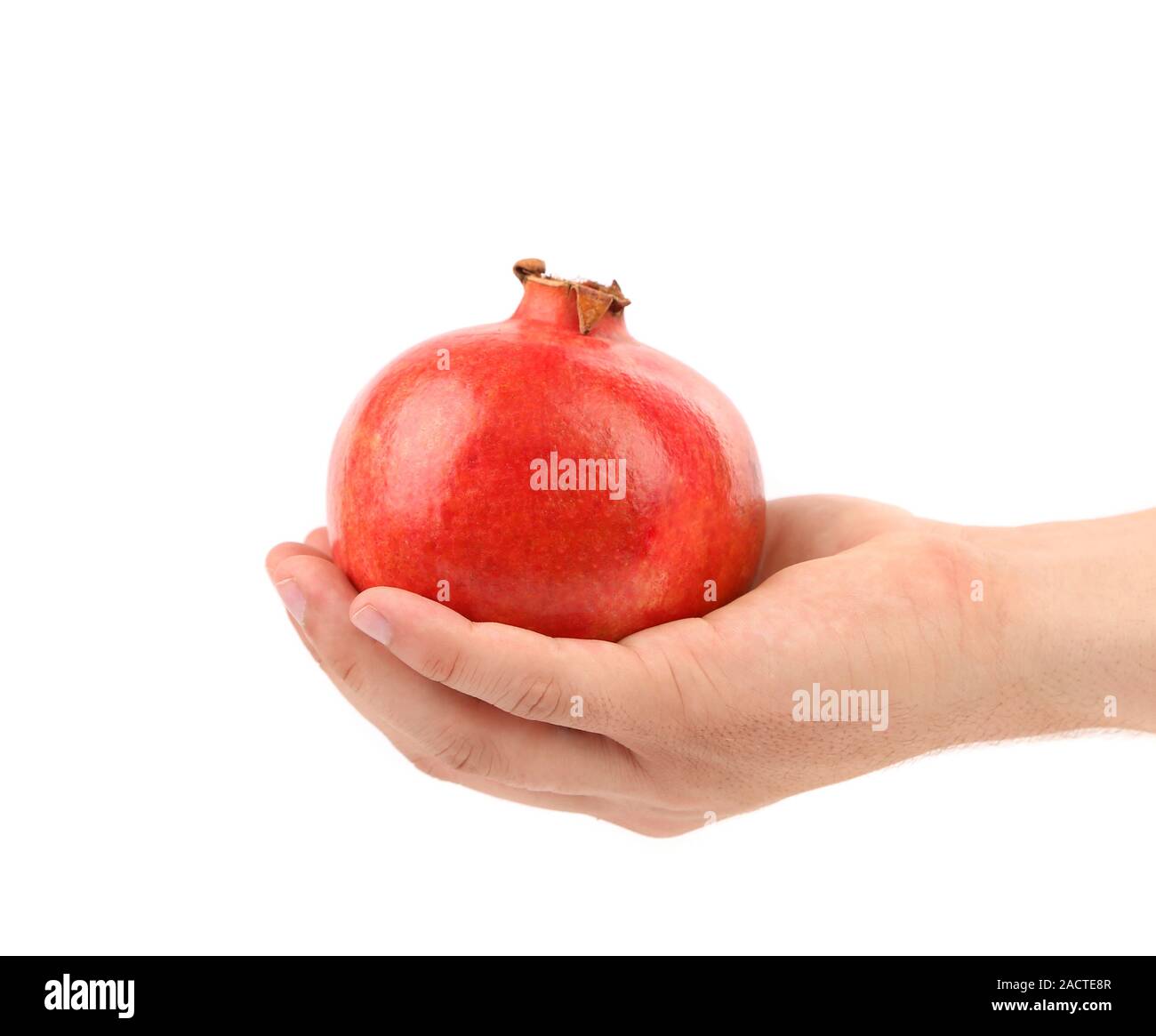 Mano azienda rosso melograno Foto Stock