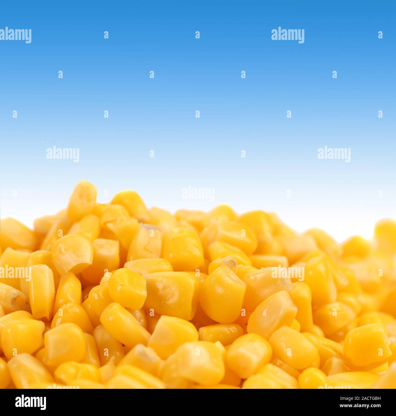 Sana mais granella di close-up. Foto Stock