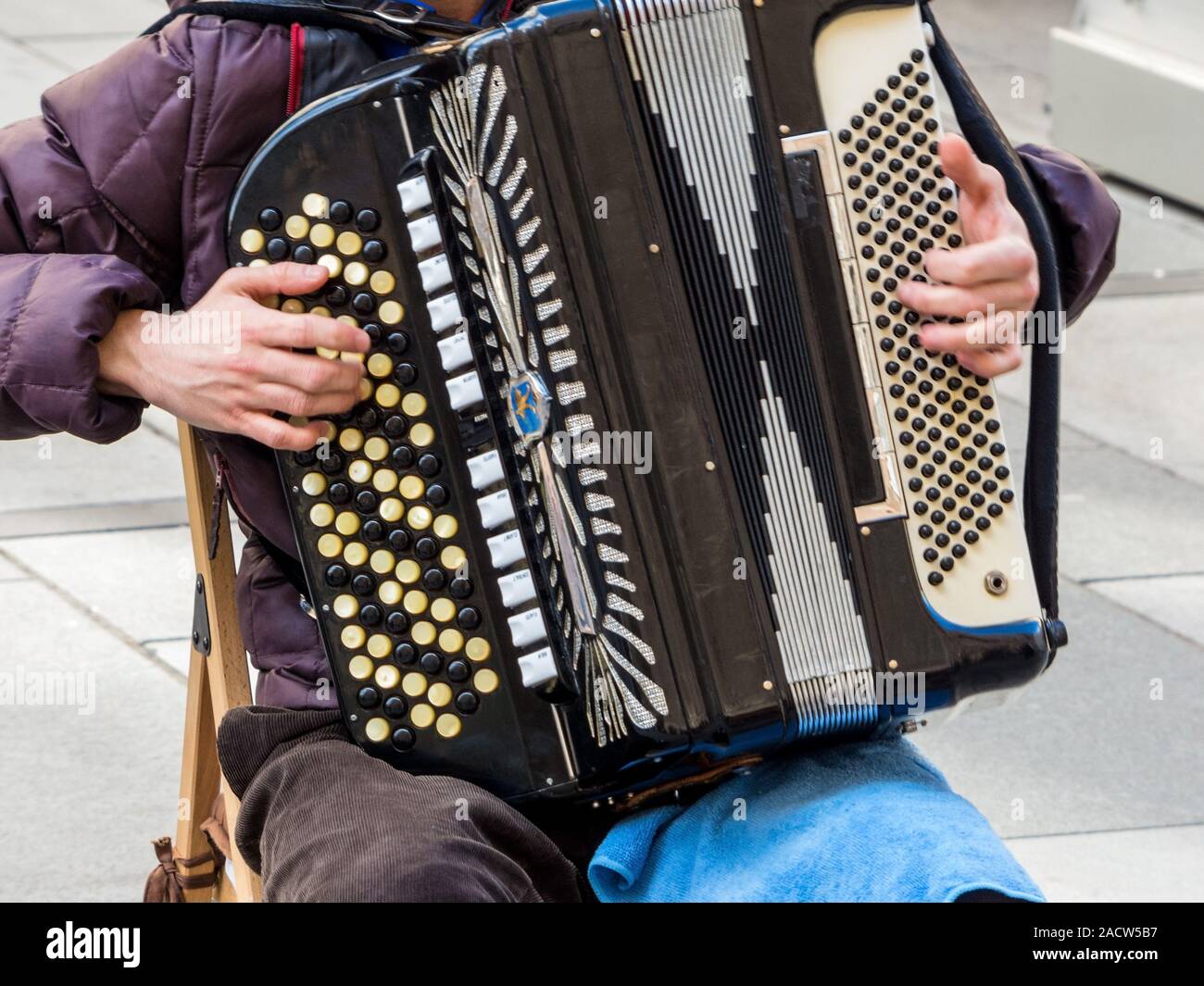 Musicista che suona la fisarmonica immagini e fotografie stock ad alta