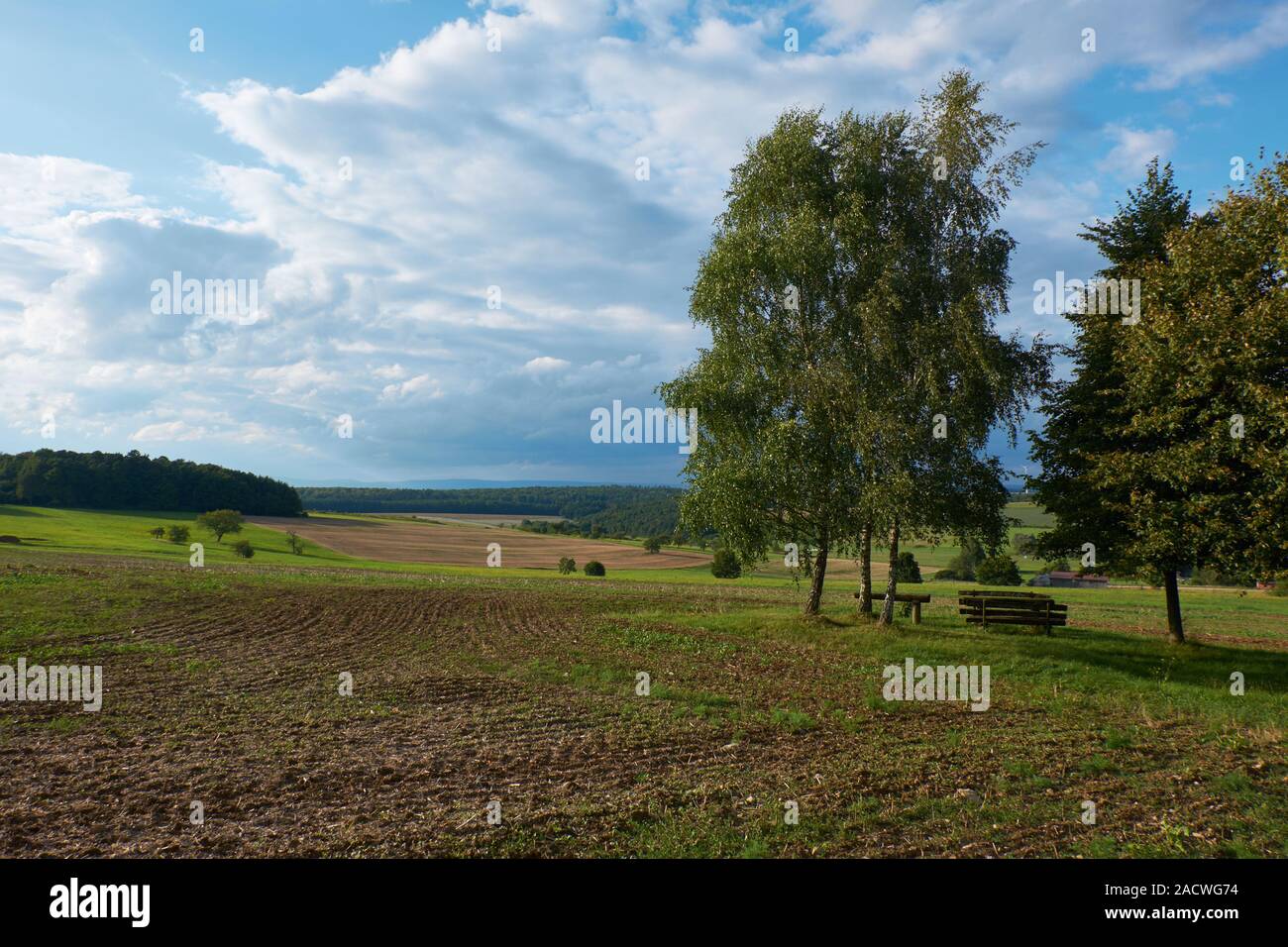 Idilliaco paesaggio vicino Madenhausen, distretto di Schweinfurt, Germania Foto Stock