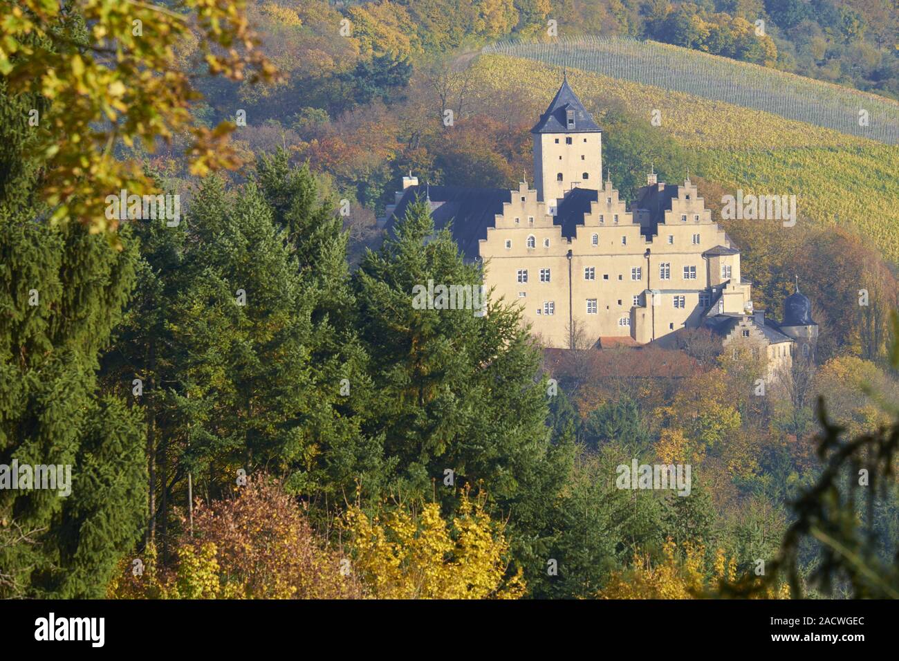 Il castello di Mainberg, Schweinfurt County, bassa Franconia, Bavaria Foto Stock