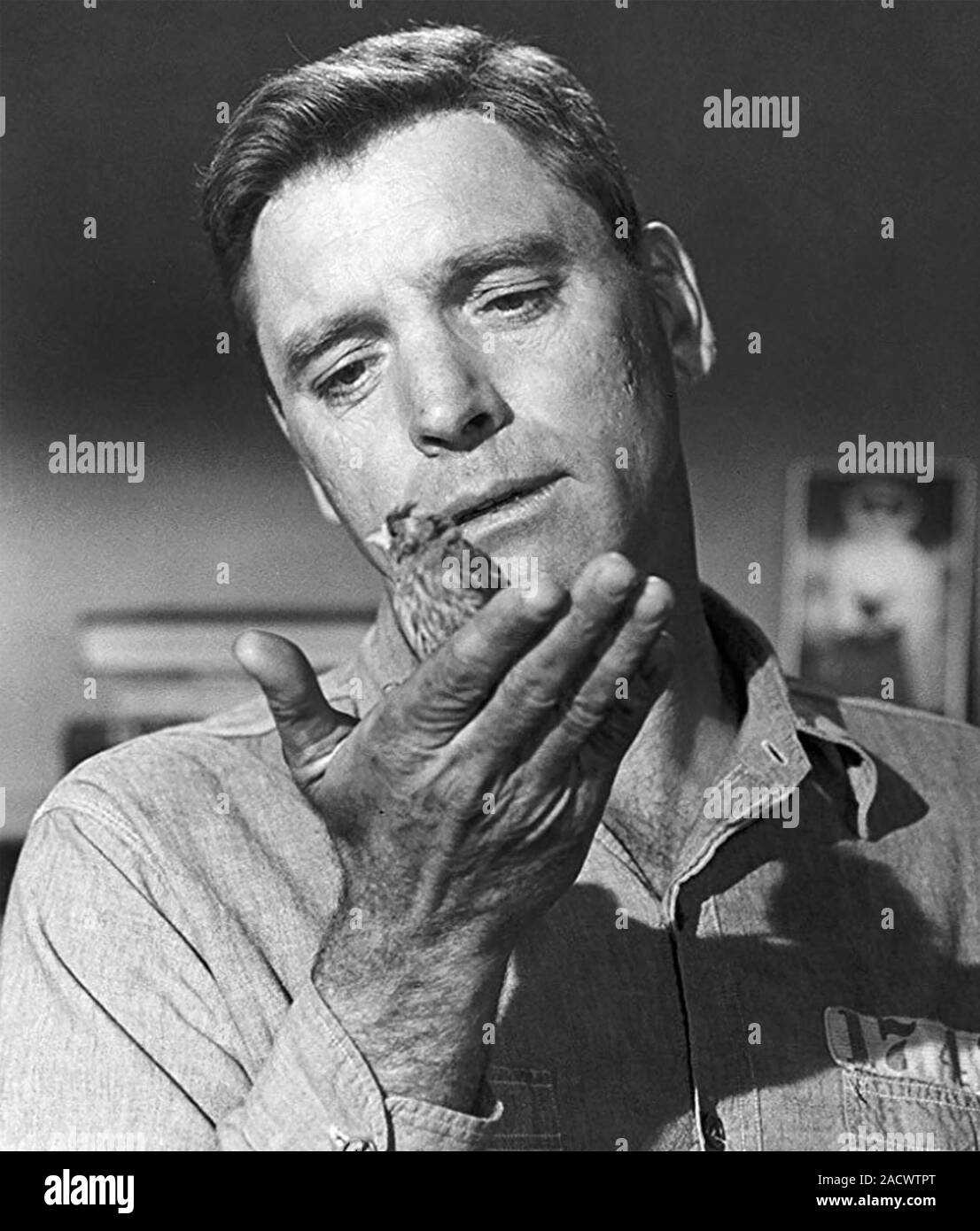 L'uomo uccello di Alcatraz 1962 United Artists film con Burt Lancaster Foto Stock