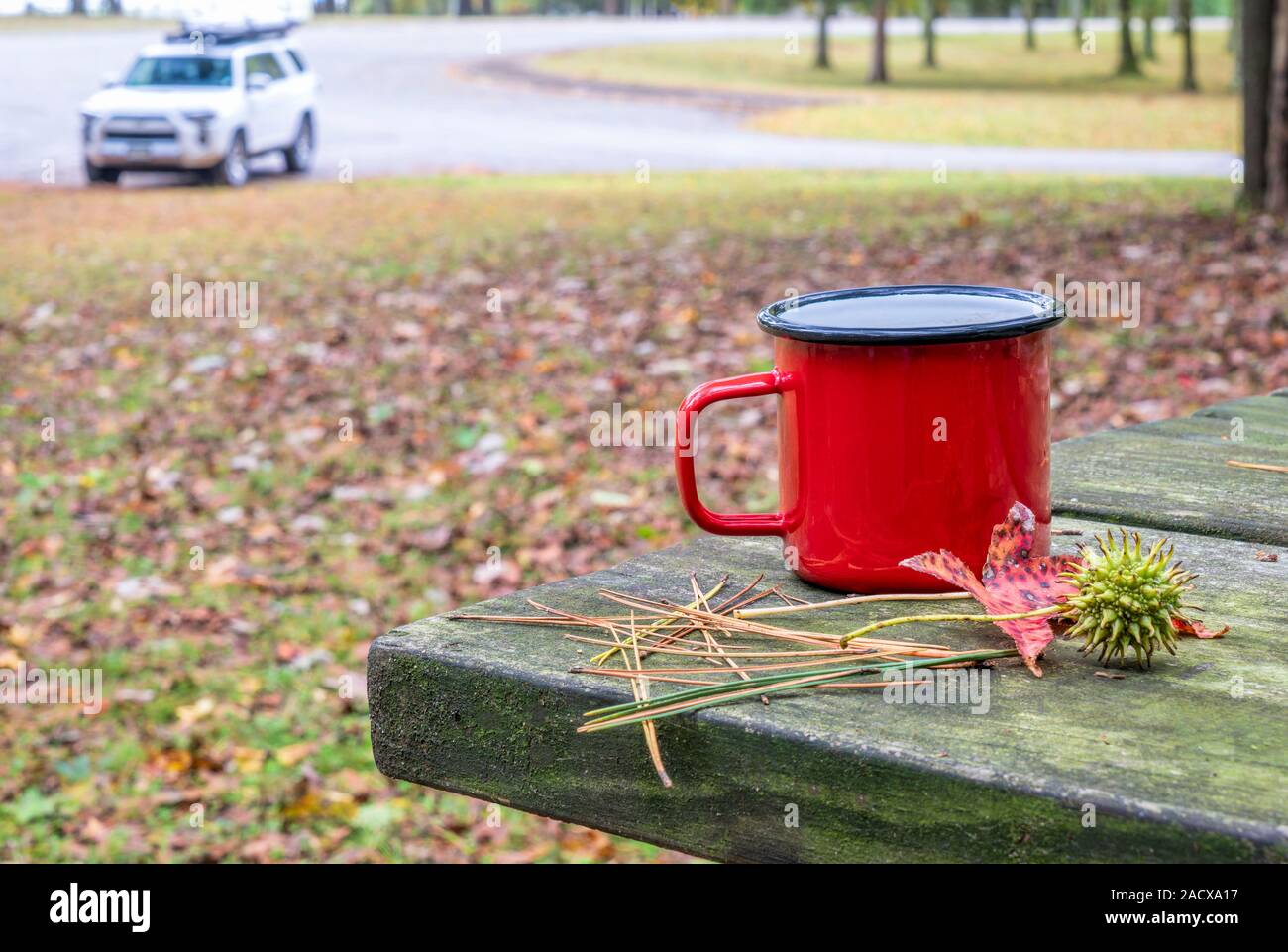 Metallo tazza di tè su un tavolo da picnic, Forest parcheggio con una vettura SUV in background, di viaggio e di concetto guida Foto Stock