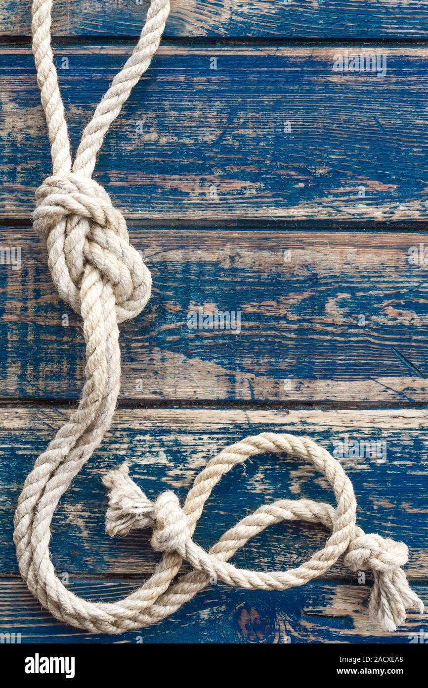 Nodo Marino Immagini E Fotos Stock Alamy