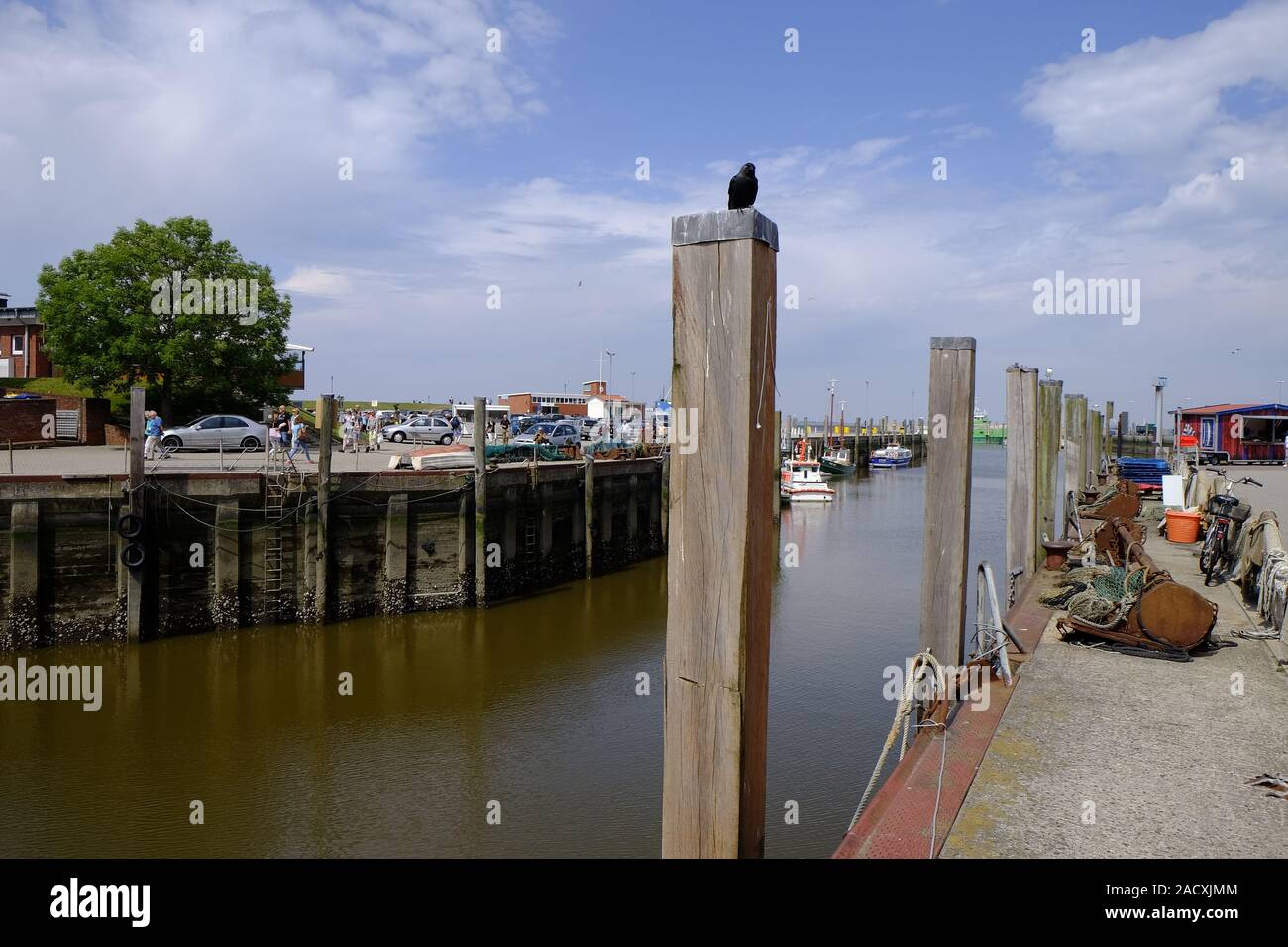 Neuharlingersiel con Harbour, la spiaggia e il centro storico della città, Frisia orientale, Bassa Sassonia, Germania Foto Stock