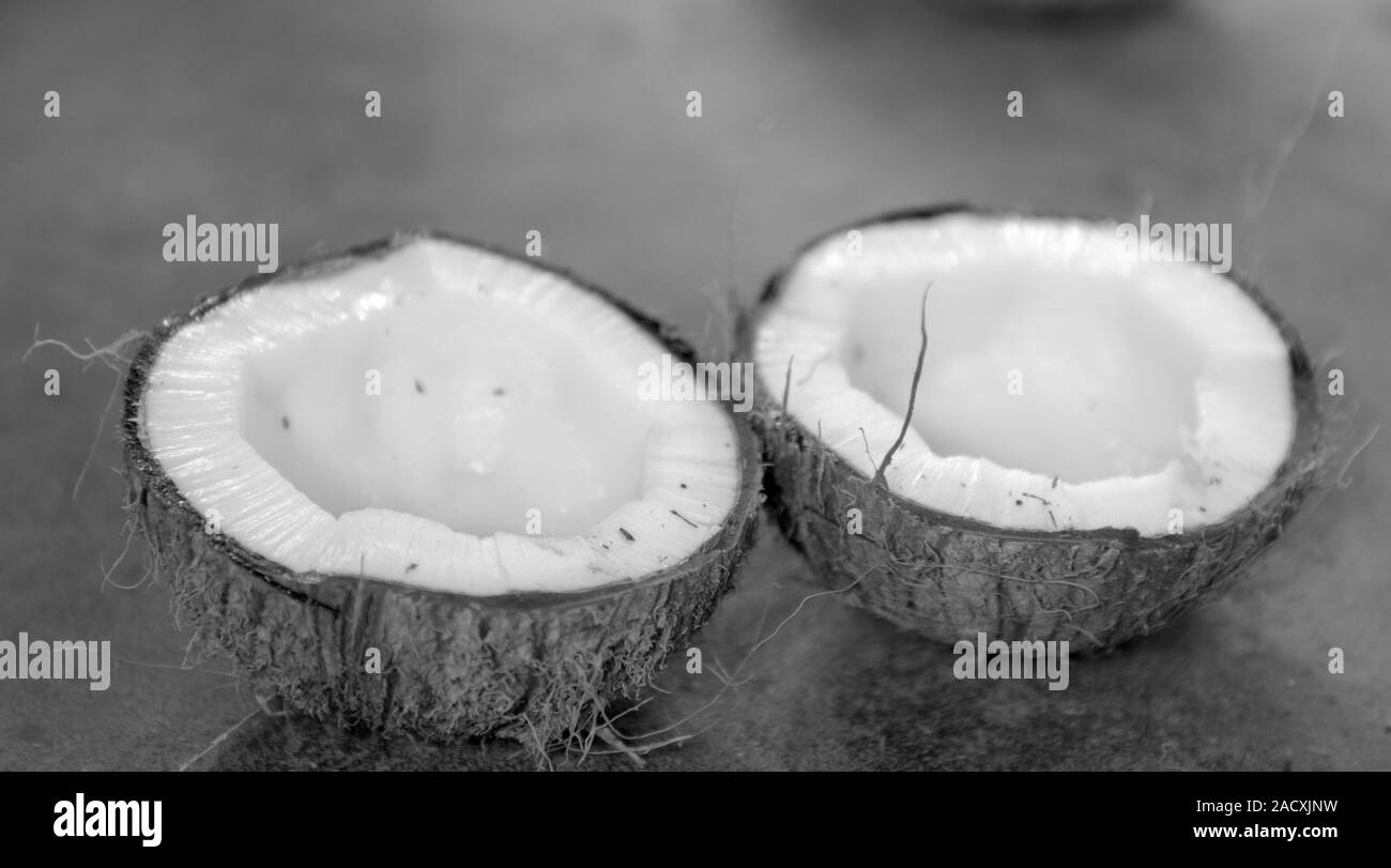 Noce di cocco essiccata viene tagliato a metà, in bianco e nero Foto Stock