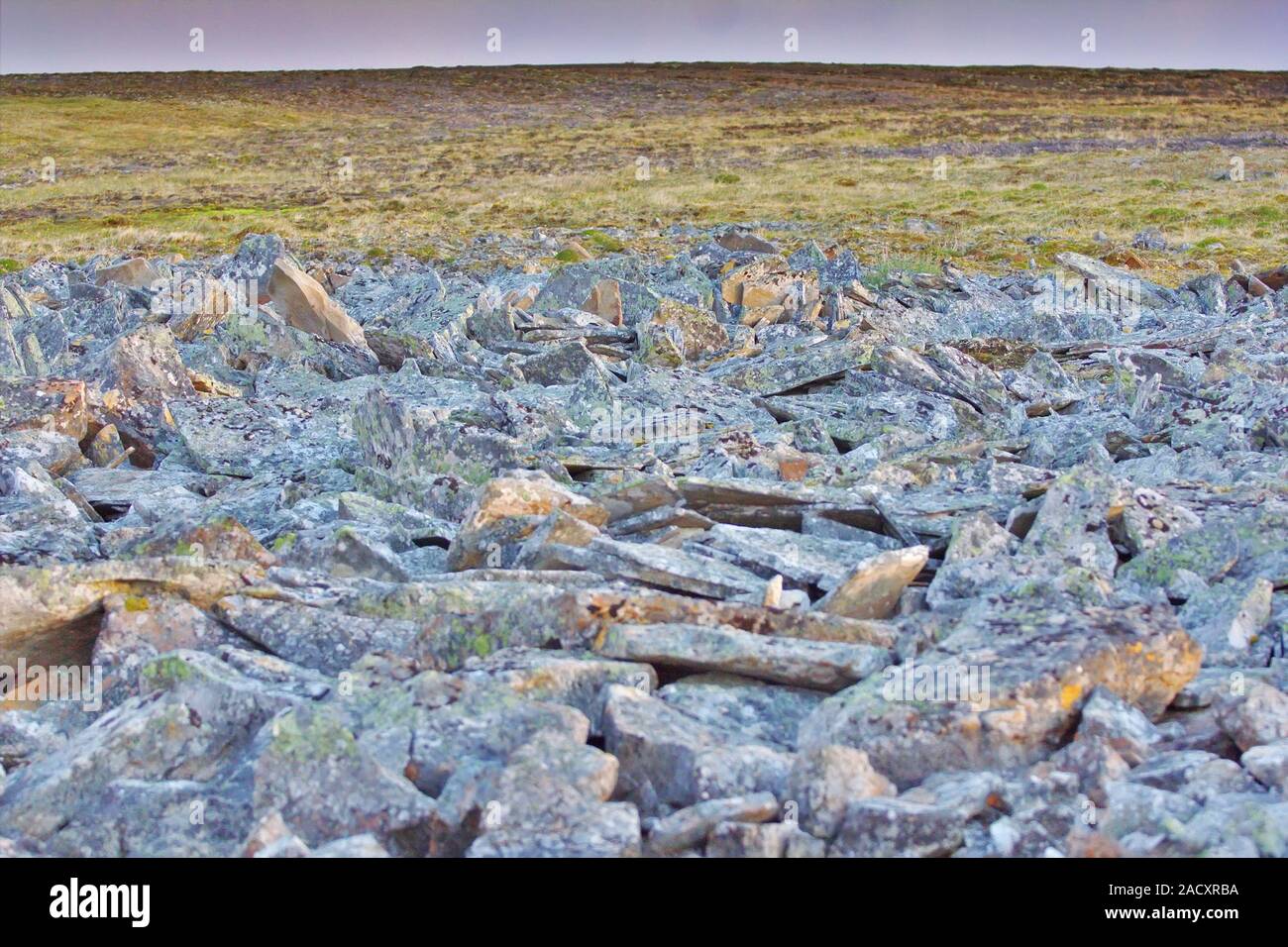 Accumulo caotico di pietre che vengono spinti verso la superficie da permafrost. Novaya Zemlya arcipelago, Arctique russo Foto Stock
