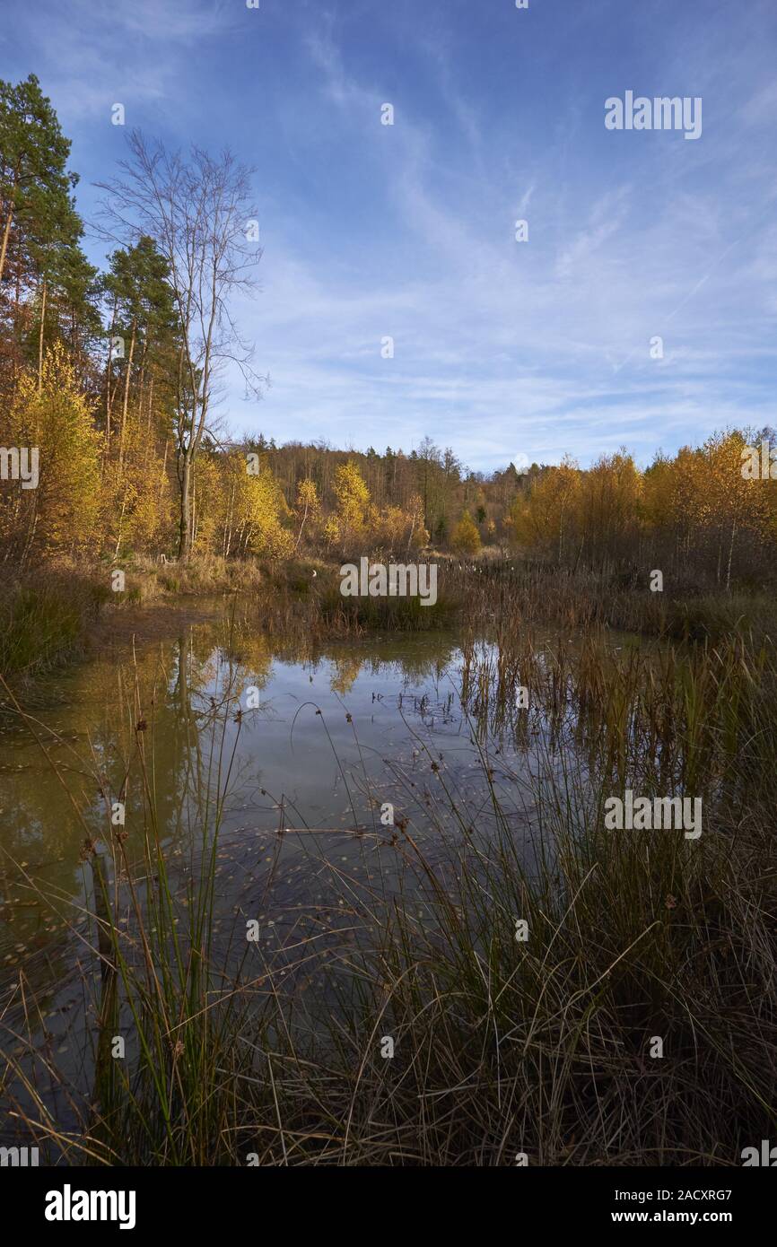 Autunno nel nord di Steigerwald, bassa Franconia, Baviera, Germania Foto Stock