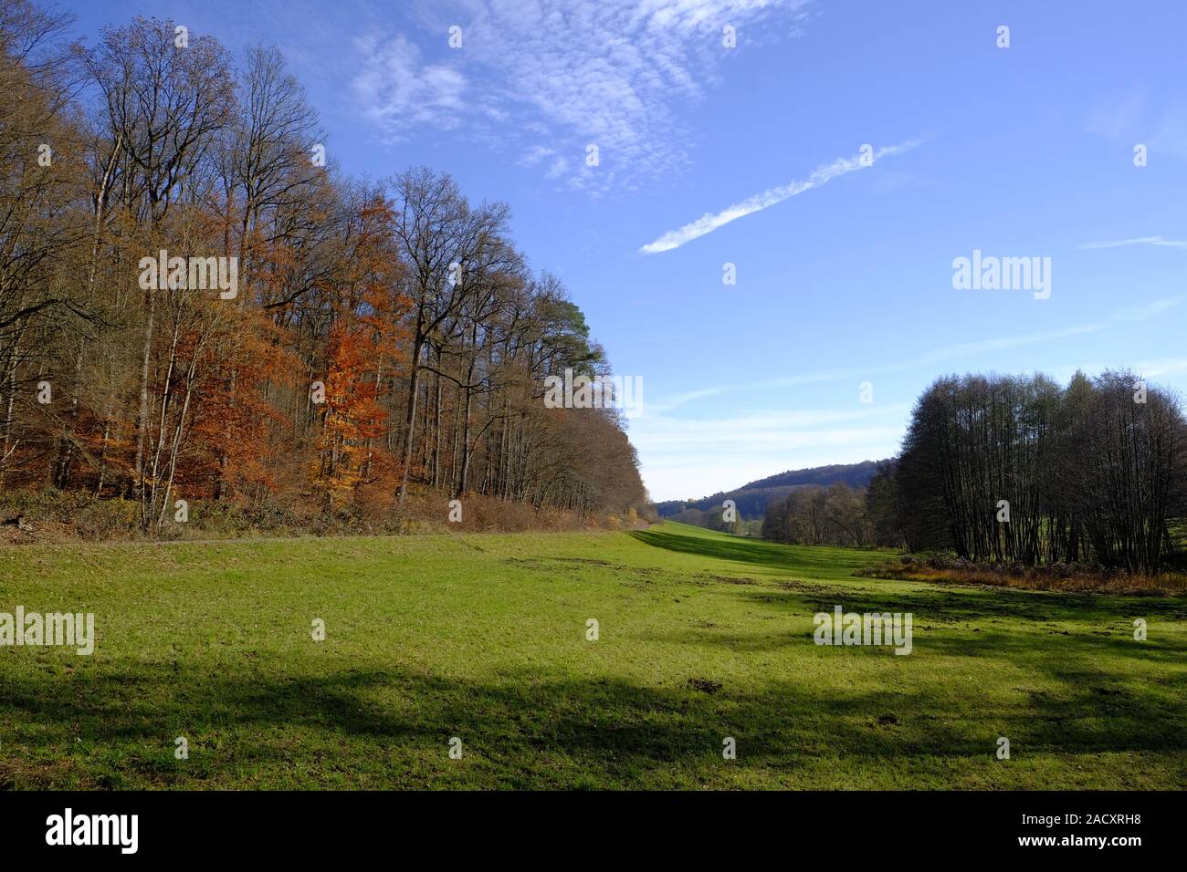 Autunno nel nord di Steigerwald, bassa Franconia, Baviera, Germania Foto Stock