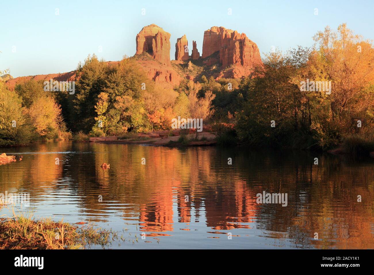 Cattedrale Rock, Oak Creek, Sedona, in Arizona, Stati Uniti d'America Foto Stock