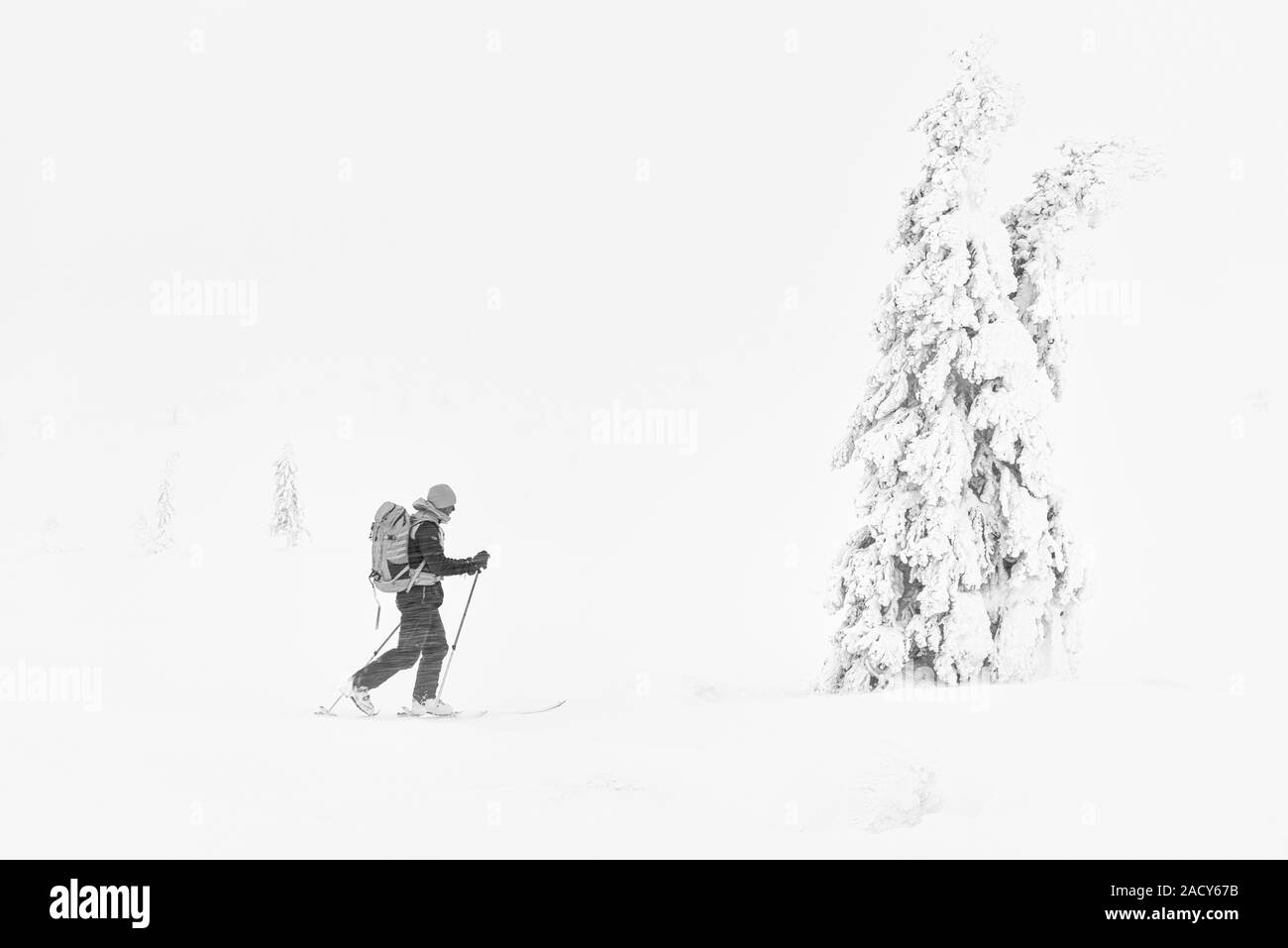 Sciatore in Snow Drift, Dundret riserva naturale, Lapponia, Svezia Foto Stock