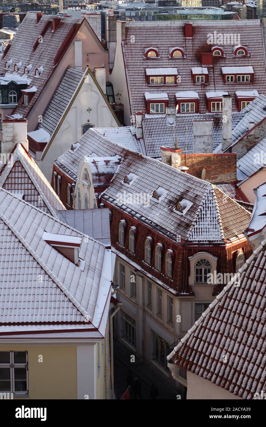Vecchi tetti di Tallinn in inverno Foto Stock