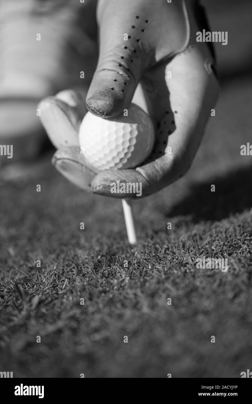 Giocatore di golf palla immissione sul raccordo a T Foto Stock