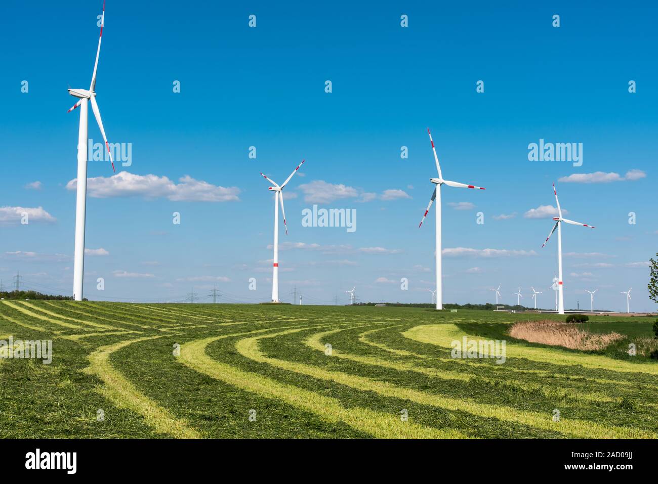 Turbine eoliche in un campo rasata di fieno, visto in Germania Foto Stock