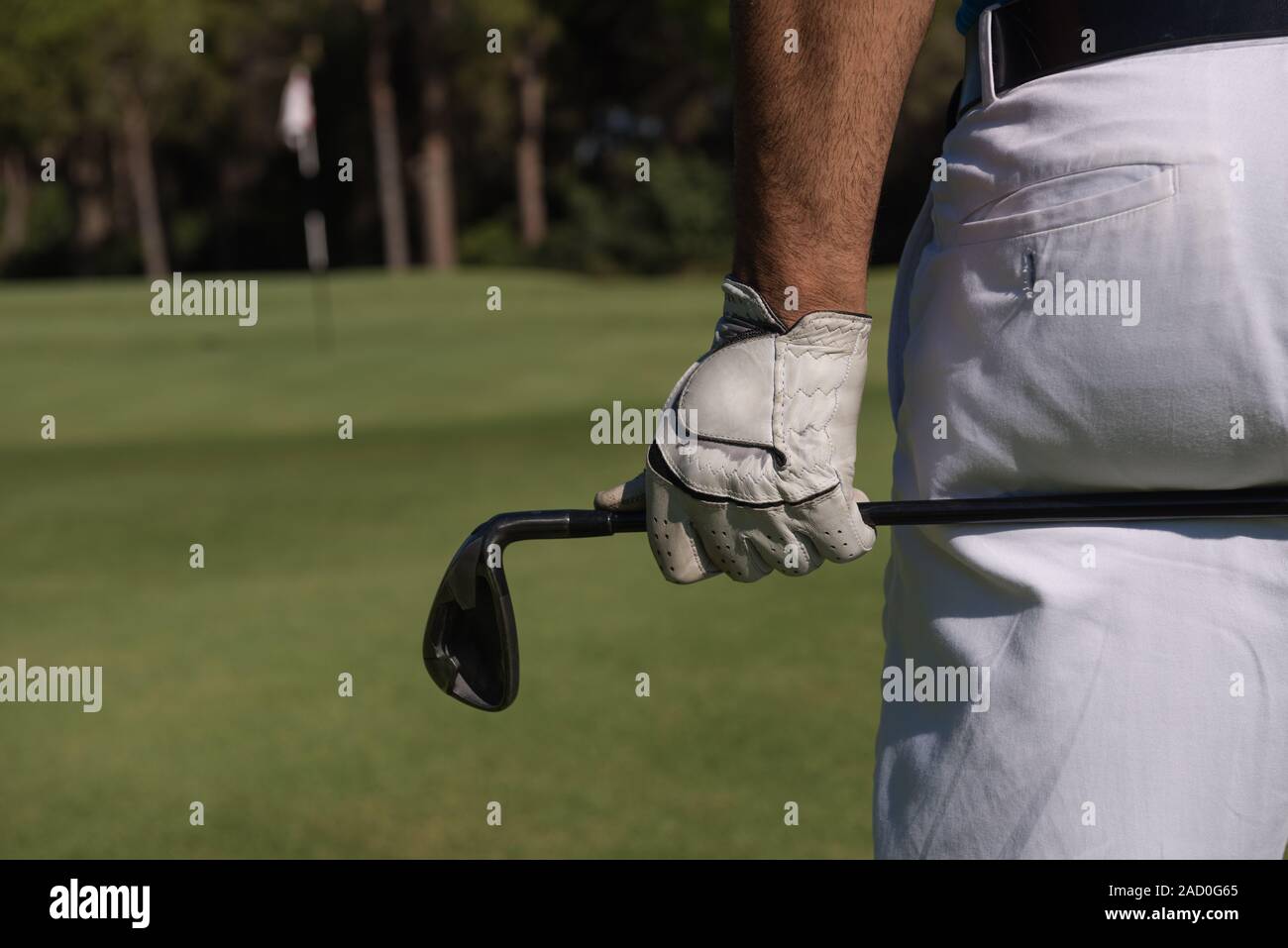 Giocatore di golf vicino la mano e driver dal retro Foto Stock