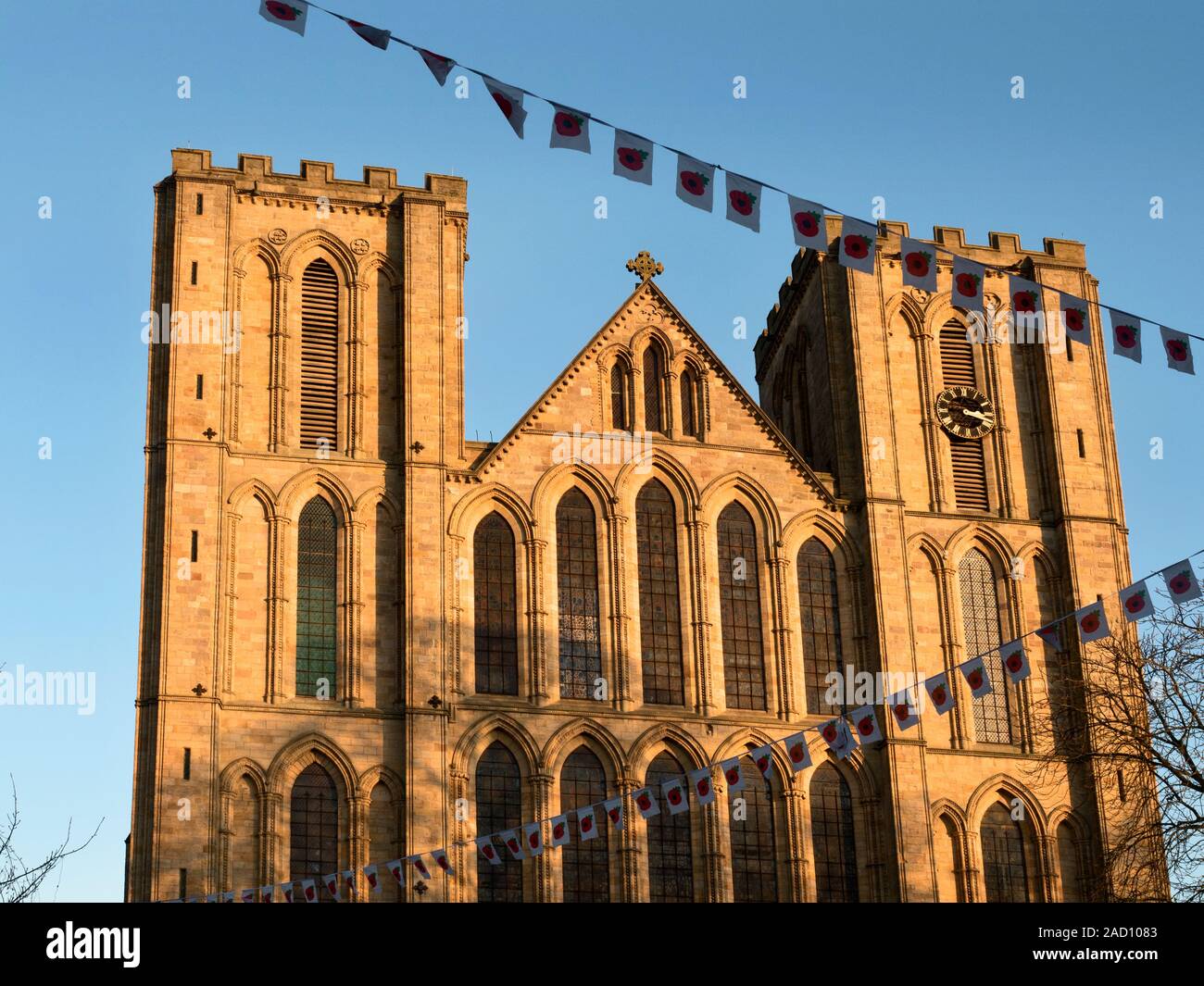 Il papavero bunting per il giorno del ricordo e la facciata ovest della cattedrale di Ripon al tramonto Ripon North Yorkshire, Inghilterra Foto Stock