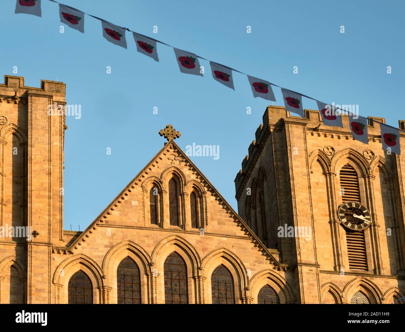 Il papavero bunting per il giorno del ricordo e la facciata ovest della cattedrale di Ripon al tramonto Ripon North Yorkshire, Inghilterra Foto Stock