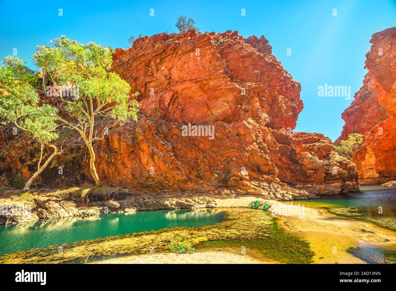 Waterhole permanente Ellery Creek Big Hole, sito geologico con altezza di rocce rosse in West MacDonnell National Park, 80km da Alice Springs, settentrionale Foto Stock