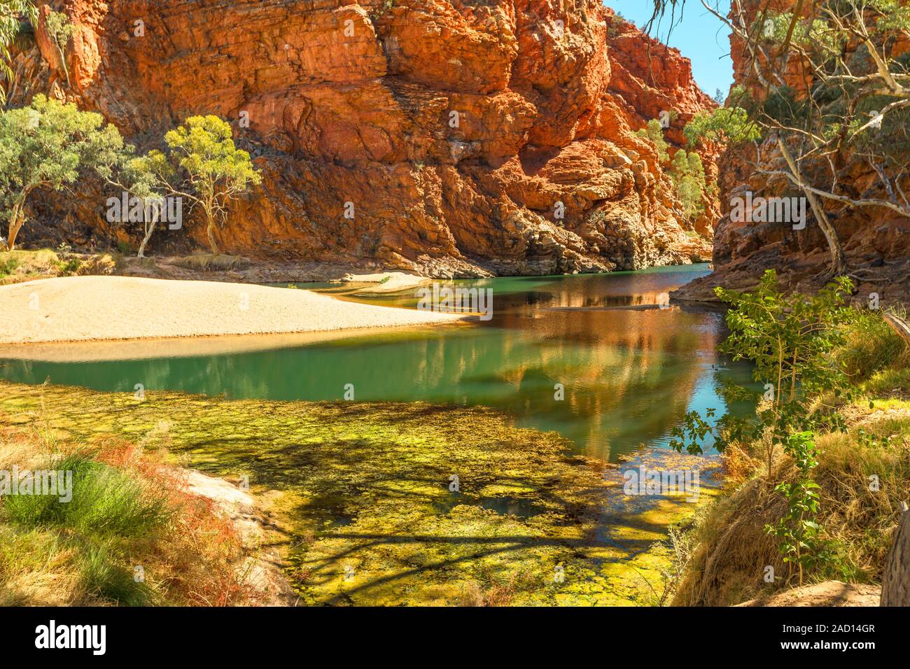 Waterhole permanente Ellery Creek Big Hole e sito geologico con scogliere rosso in West MacDonnell National Park, 80km da Alice Springs, settentrionale Foto Stock