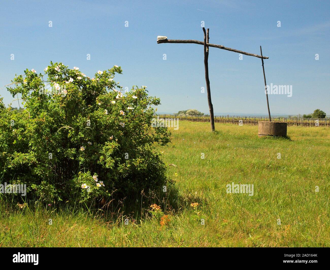 Disegnare bene (stile ungherese) vicino al lago di Neusiedl in Austria Foto Stock